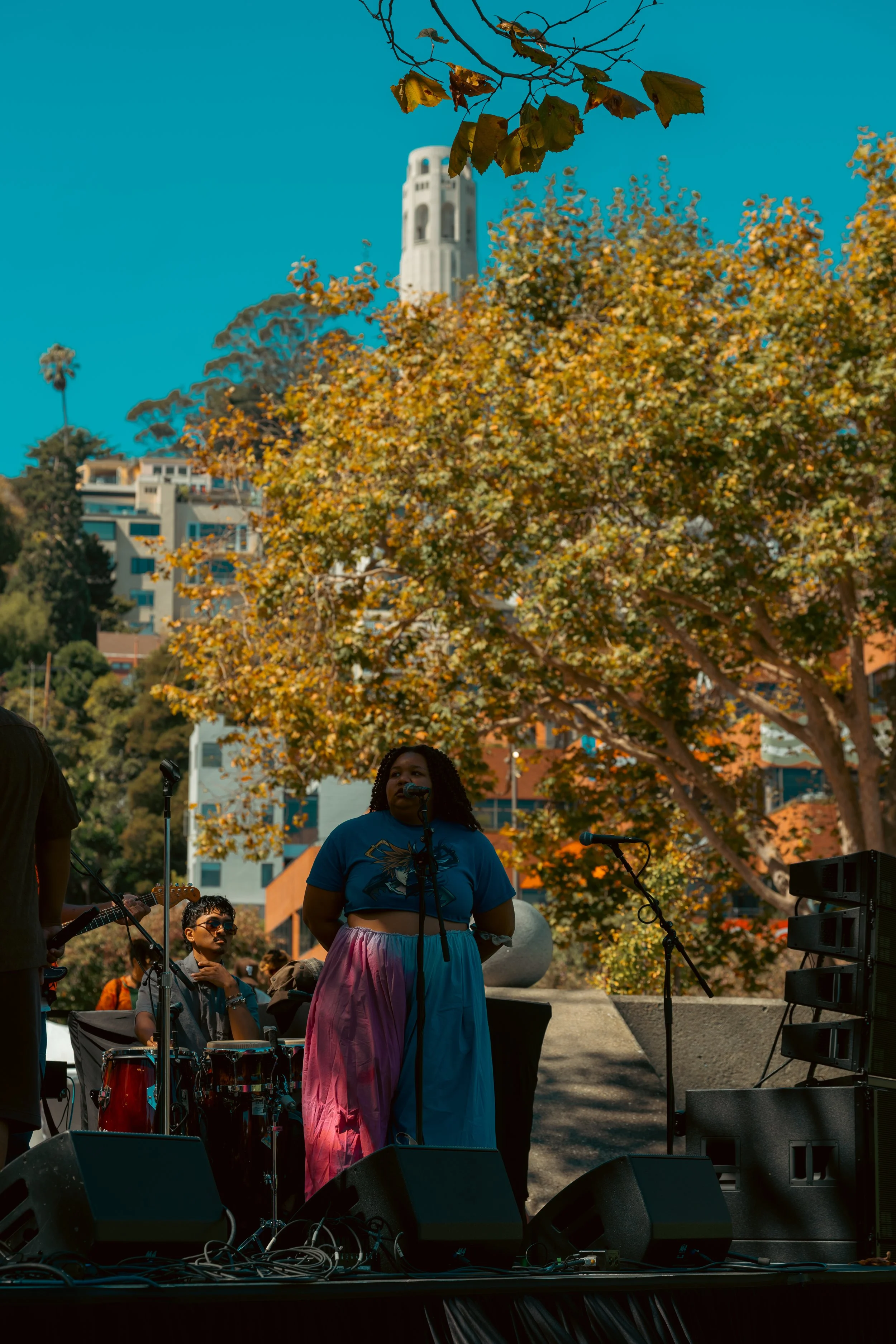 _DSC8257.jpg
