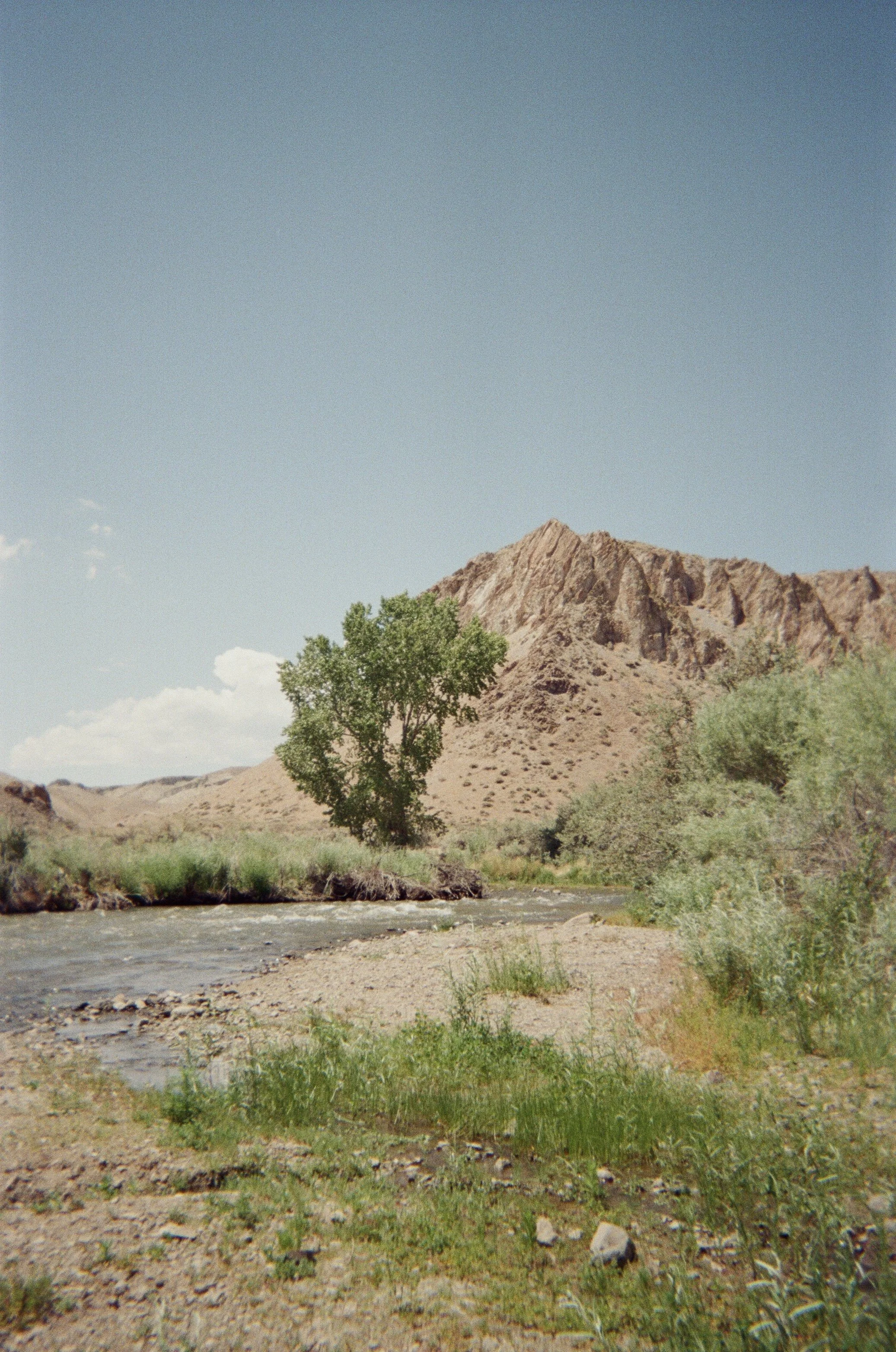 IMG_0489.jpg