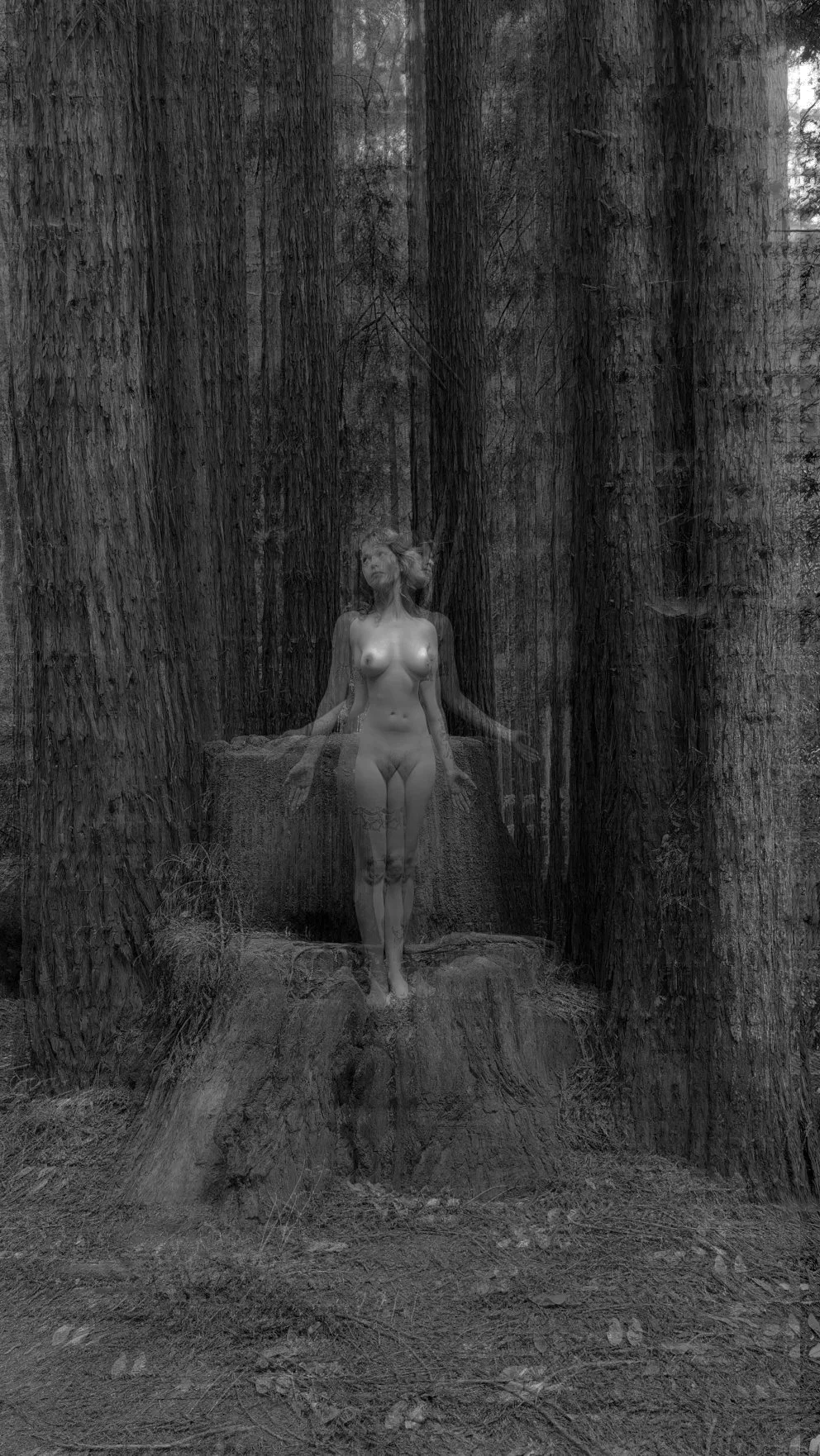 Nymph