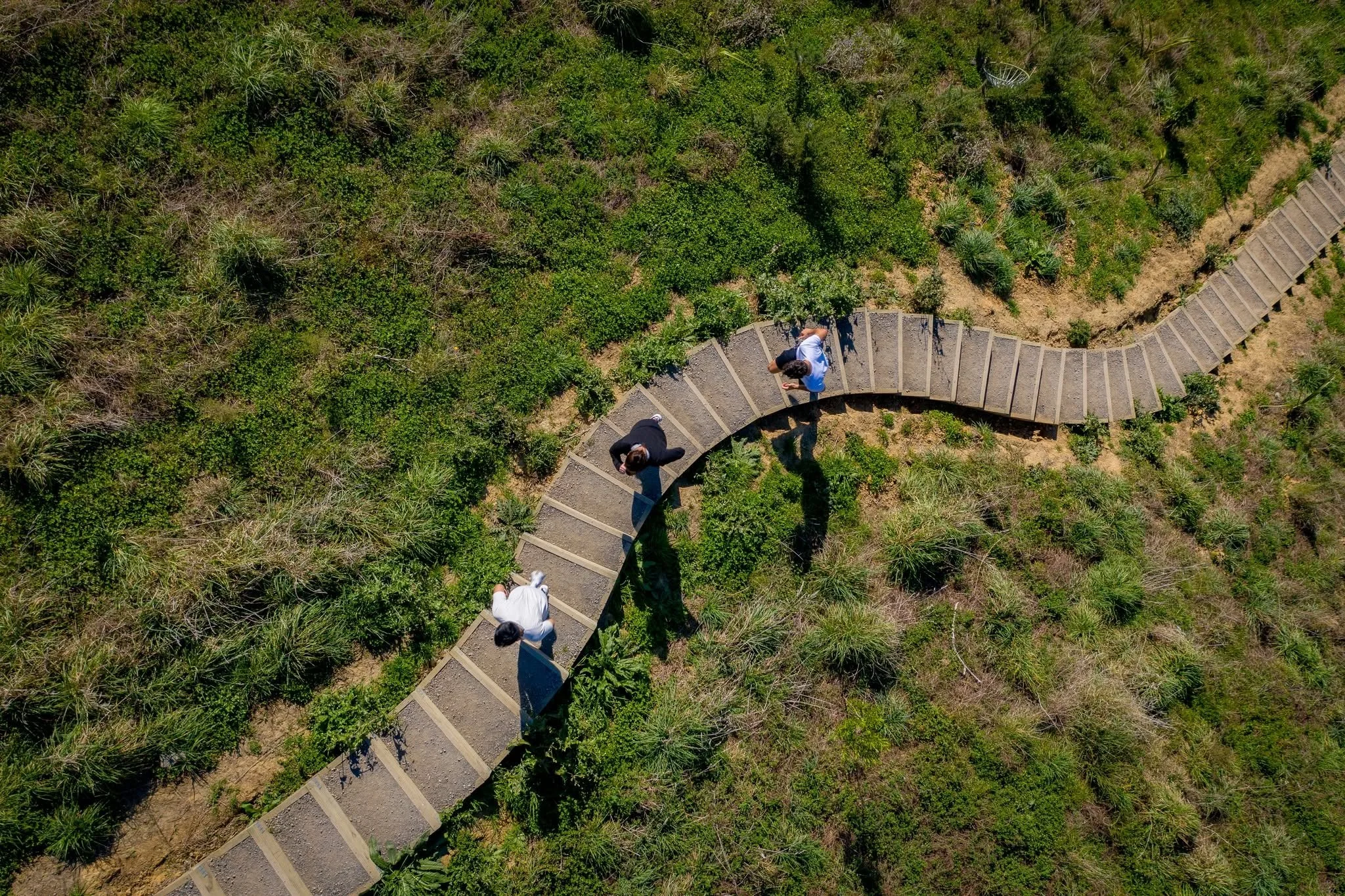 Shared pathway Palmerston North