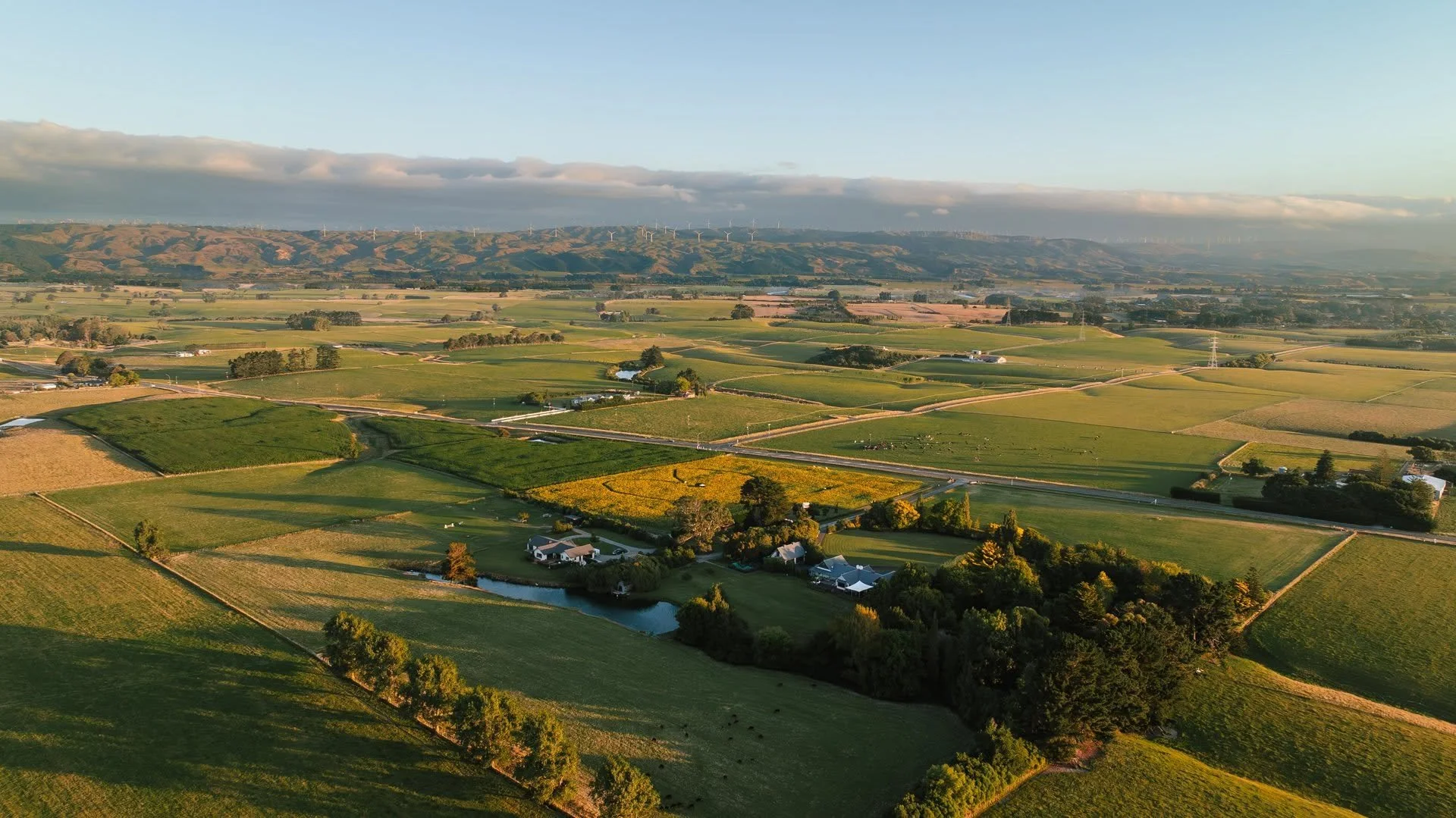 Aerial view of farmland Manawatu