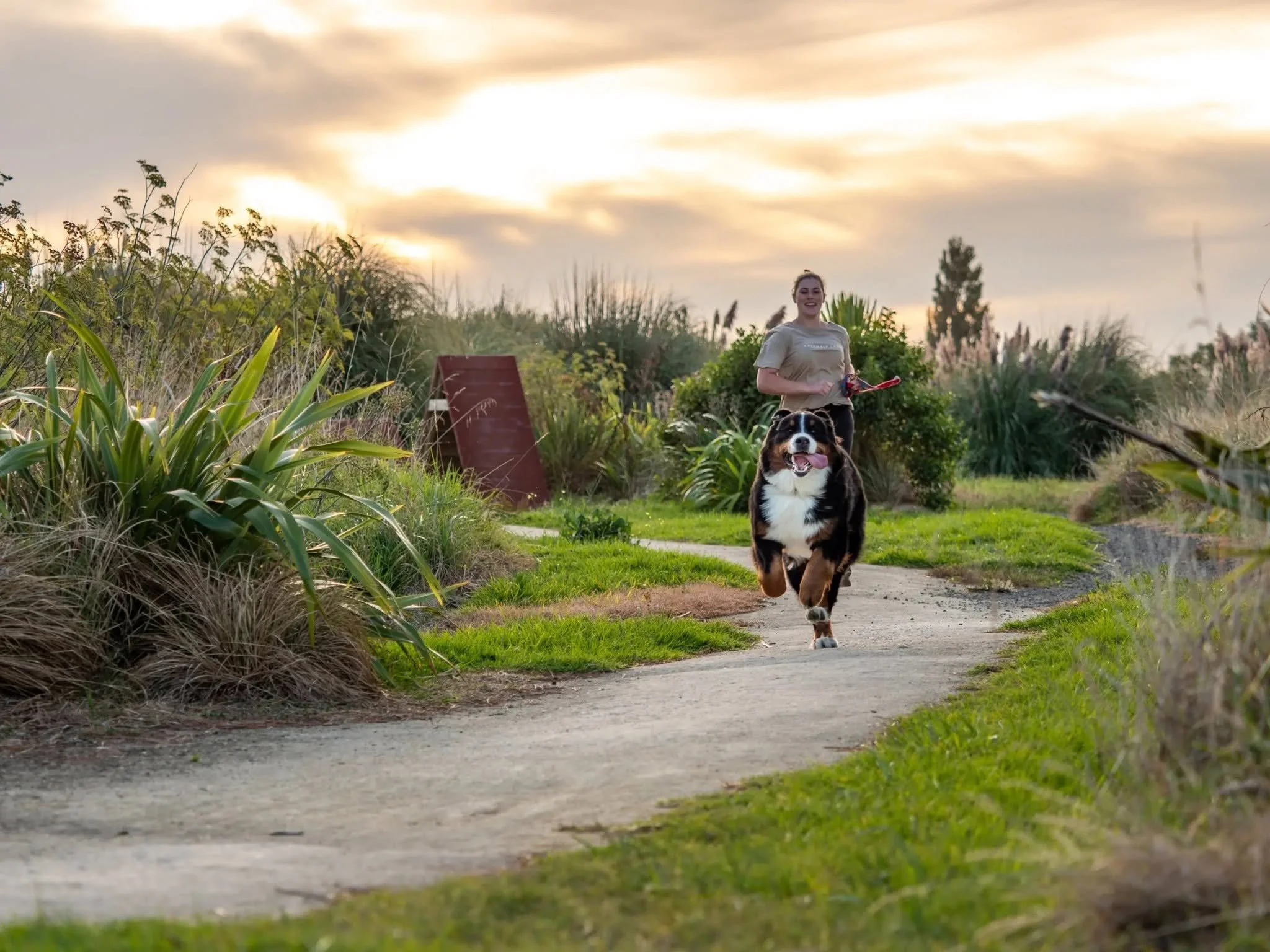 Shared pathway Palmerston North