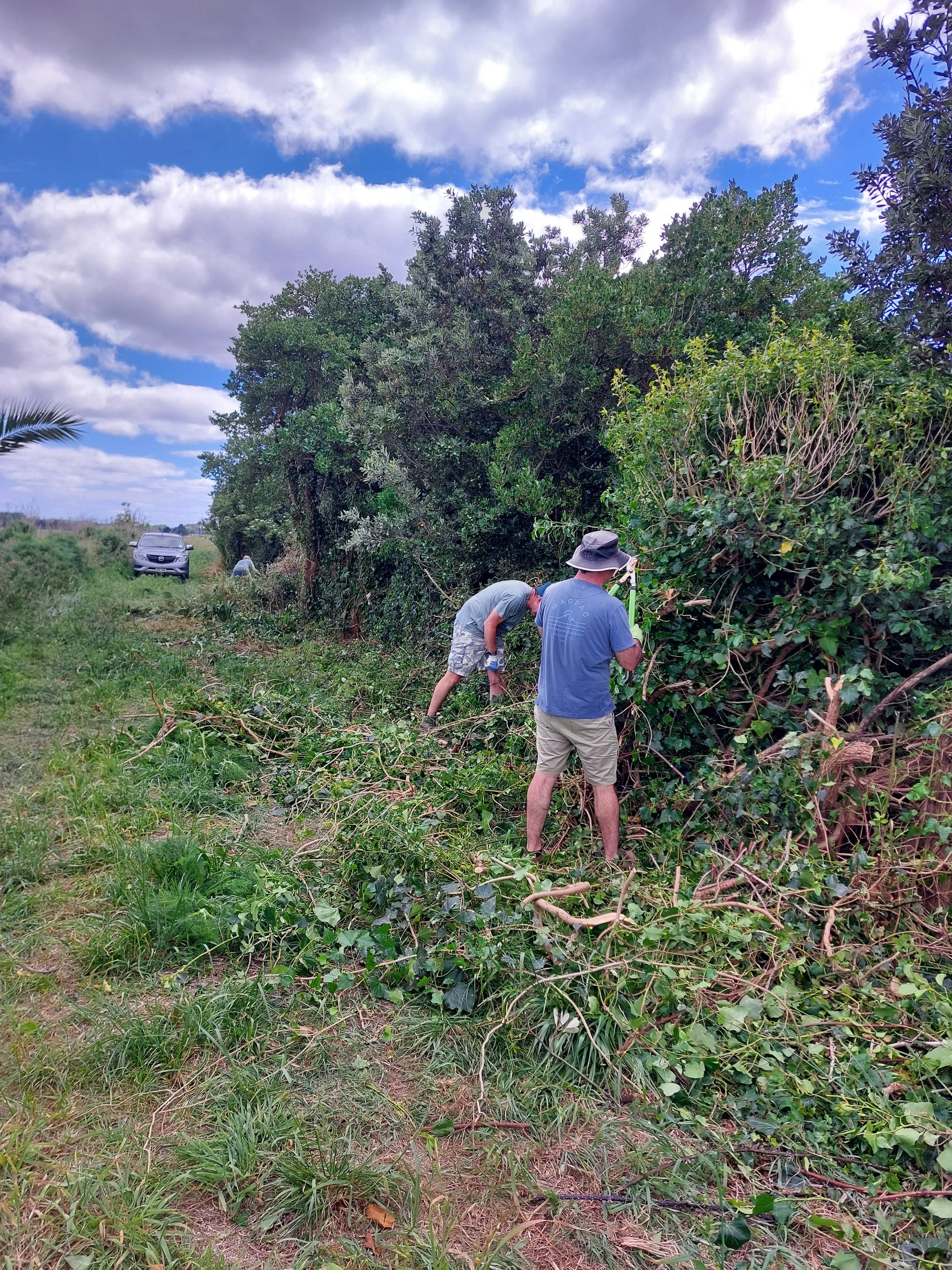 Two men are cutting and clearing overgrown bushes and plants in a grassy area near a line of large, leafy trees. A car is parked in the background on a dirt road with clouds and blue sky overhead.