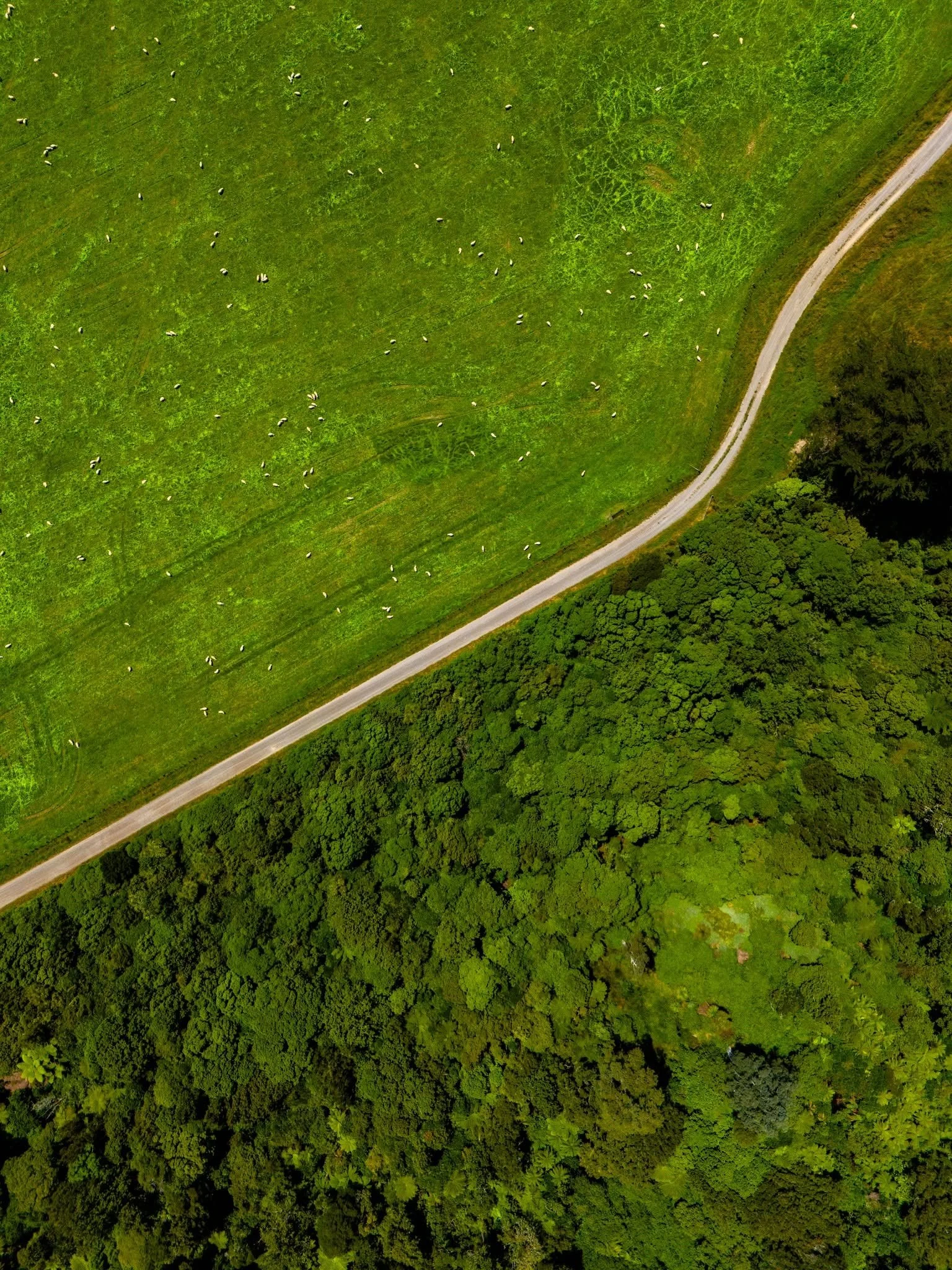 Shared pathway