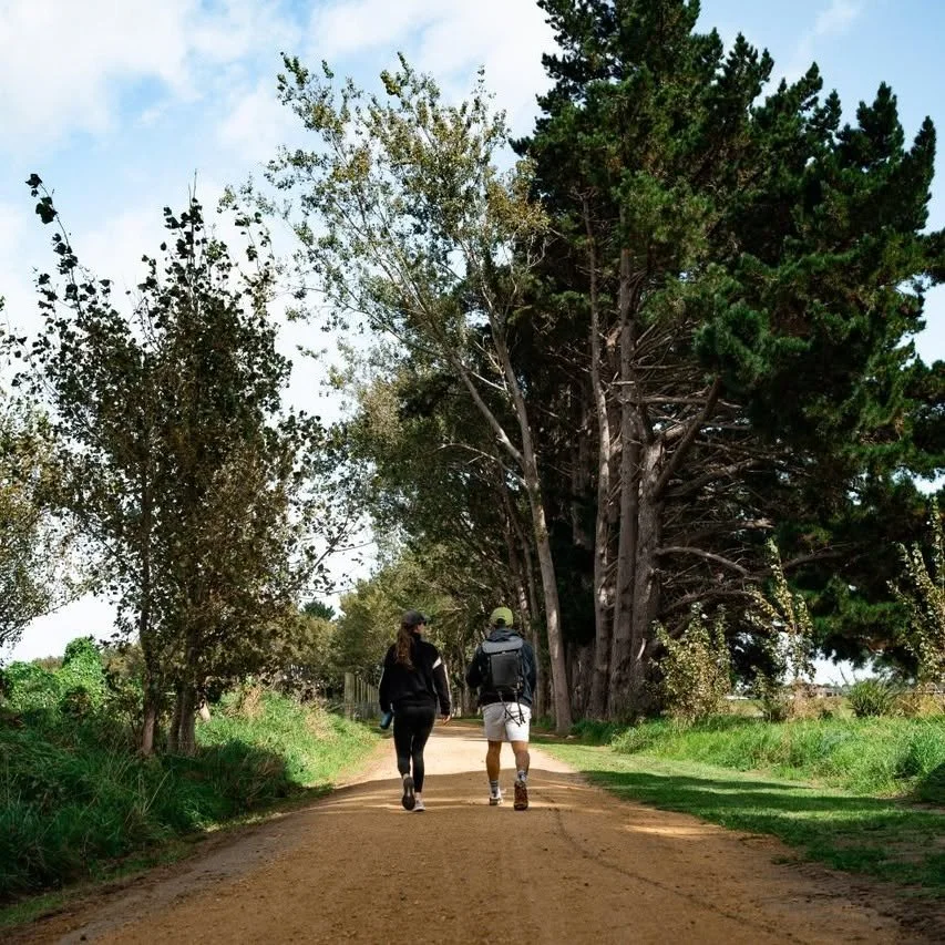 Shared pathway palmerston north.