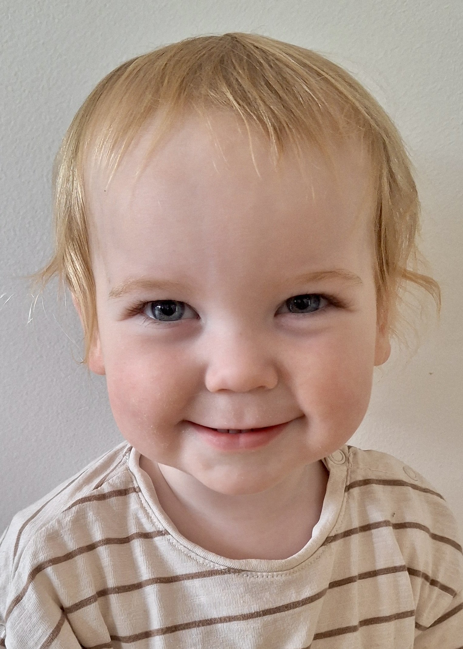 SULLIVAN M - AGE 1