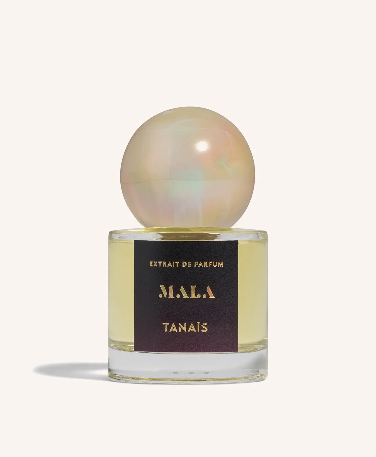 Studio Tanais