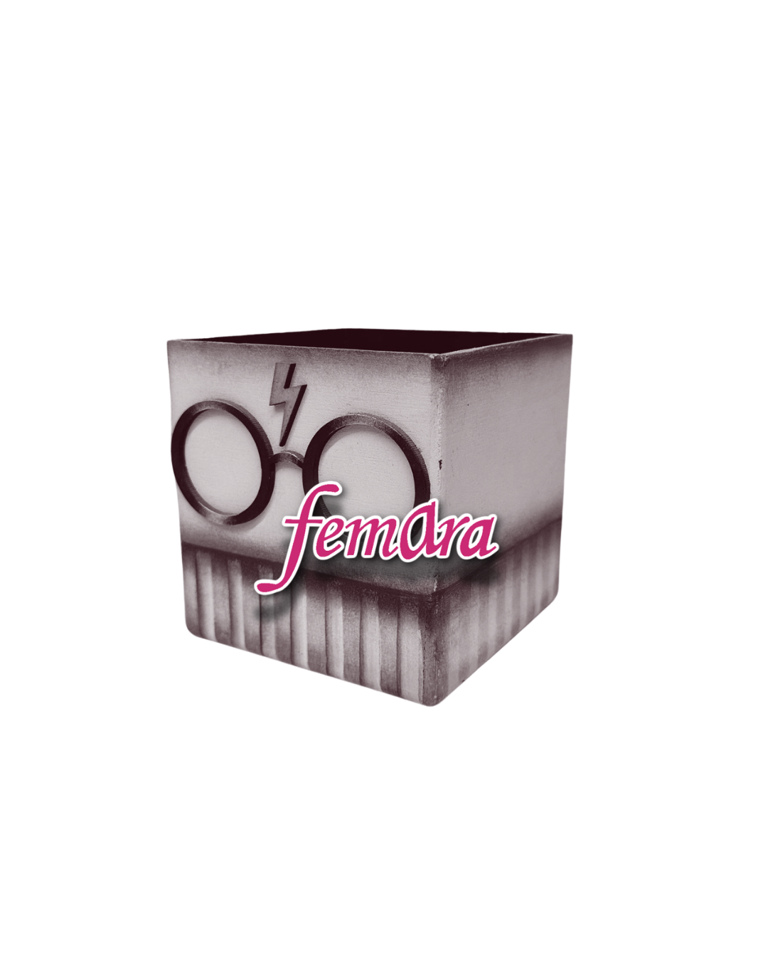 LAPICERA HARRY POTTER