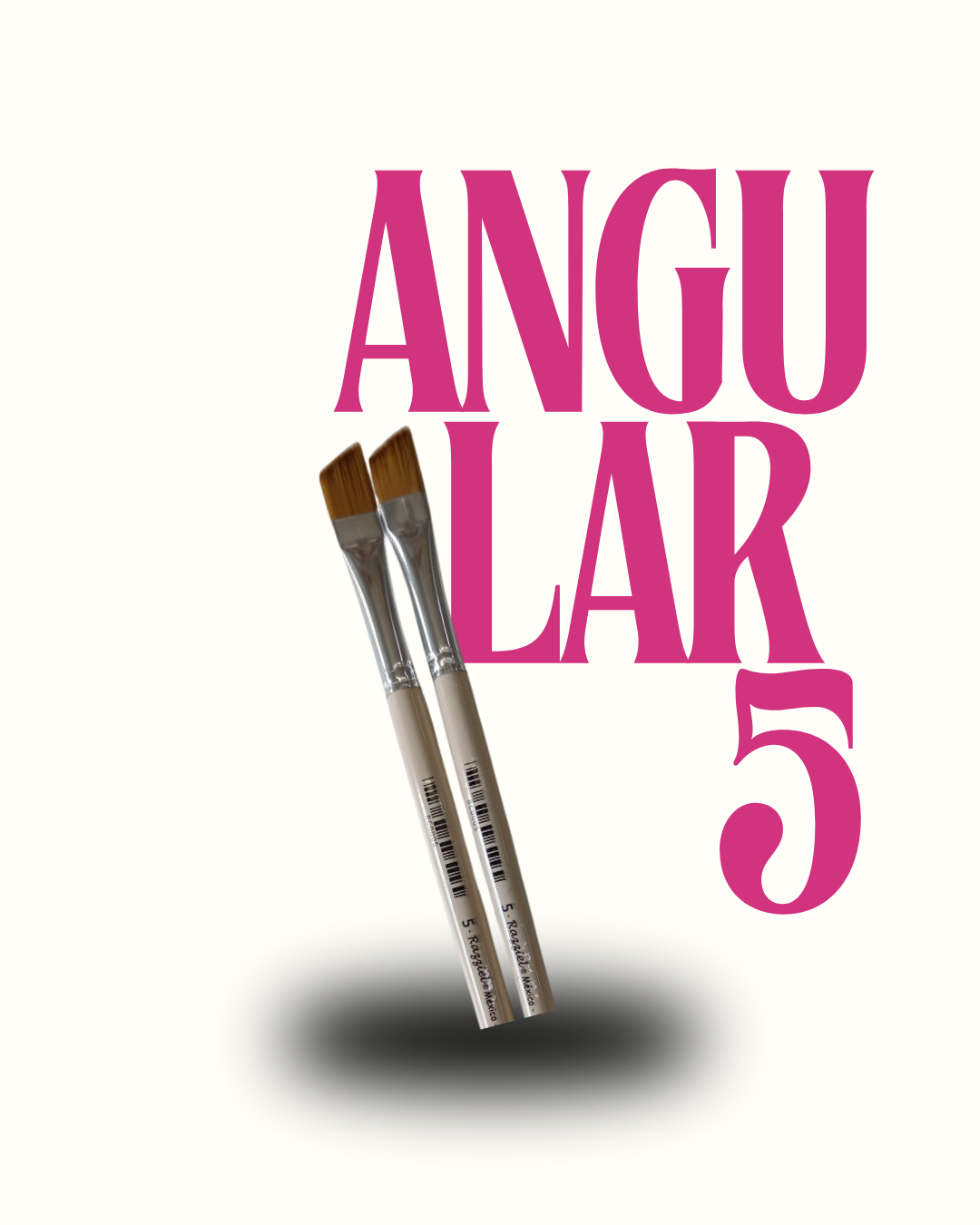ANGULAR 5