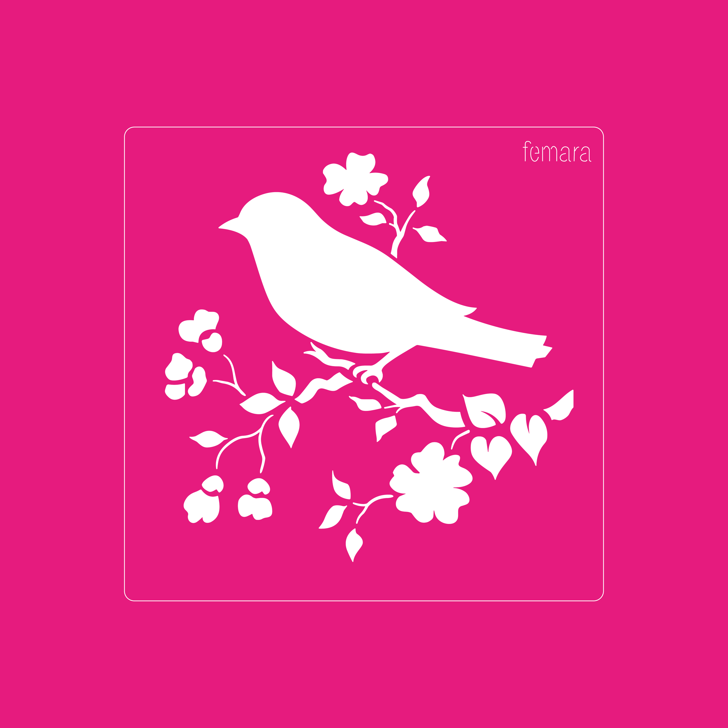 1212-017 PAJARITO