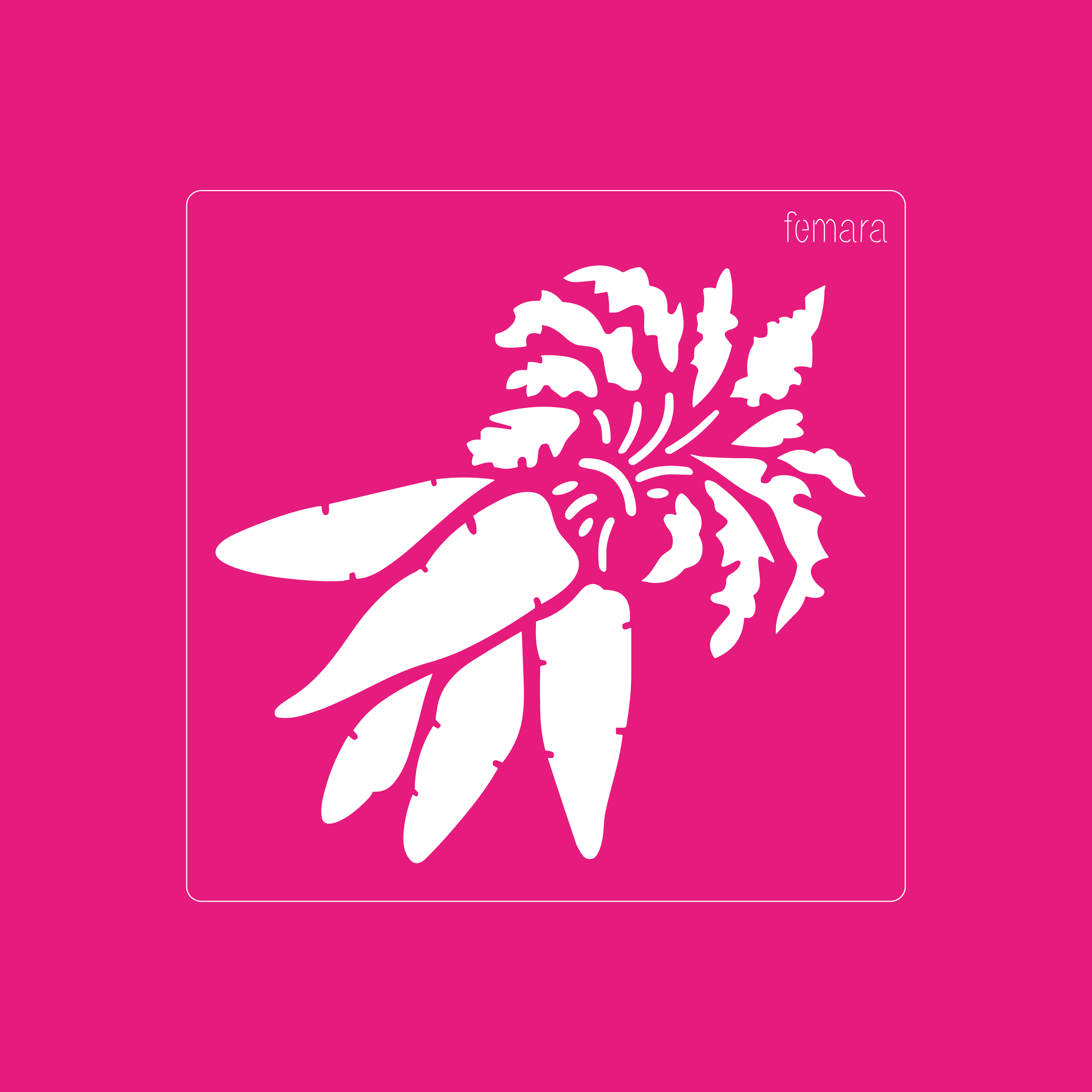 1212-018 ZANAHORIAS