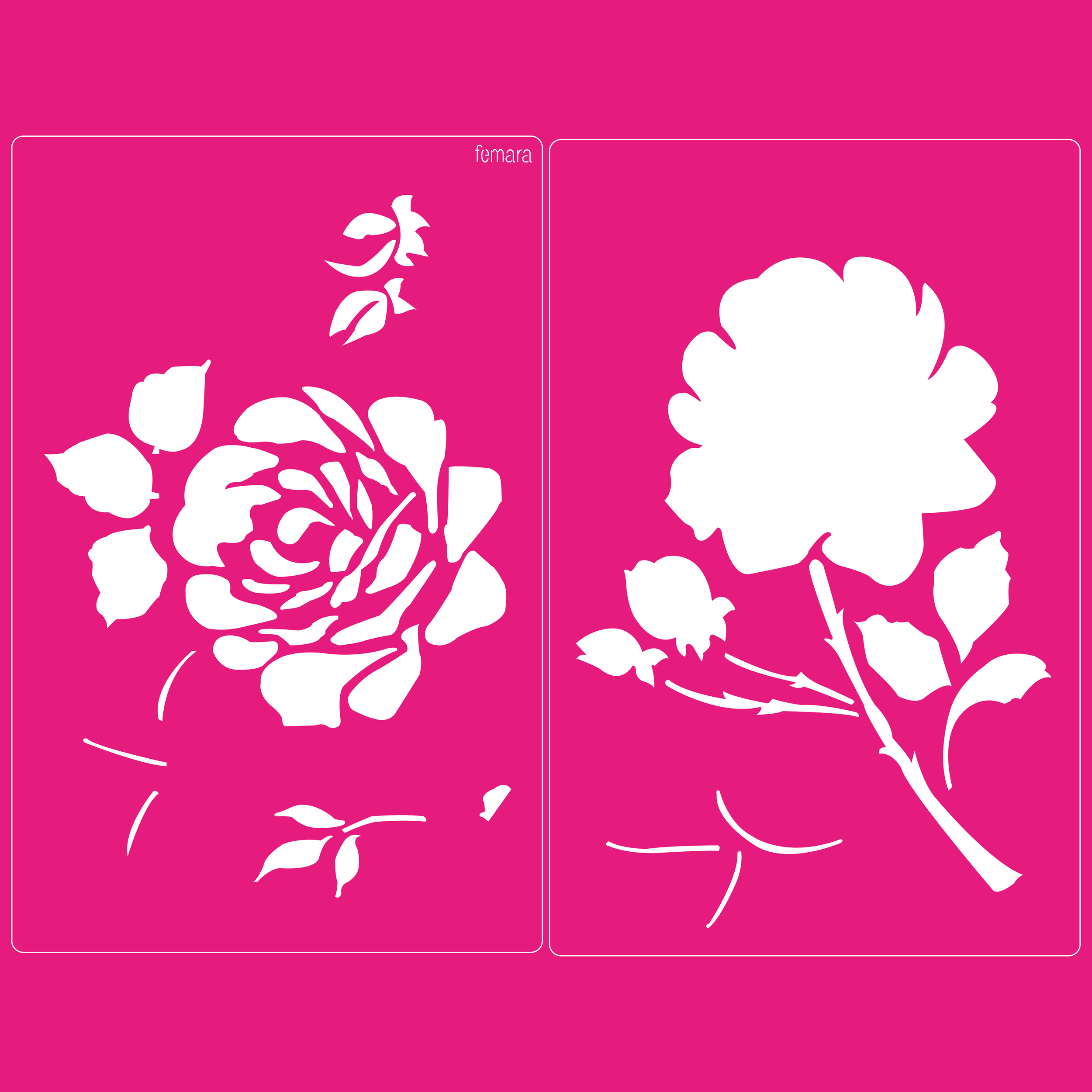 2030-087 ROSA 7