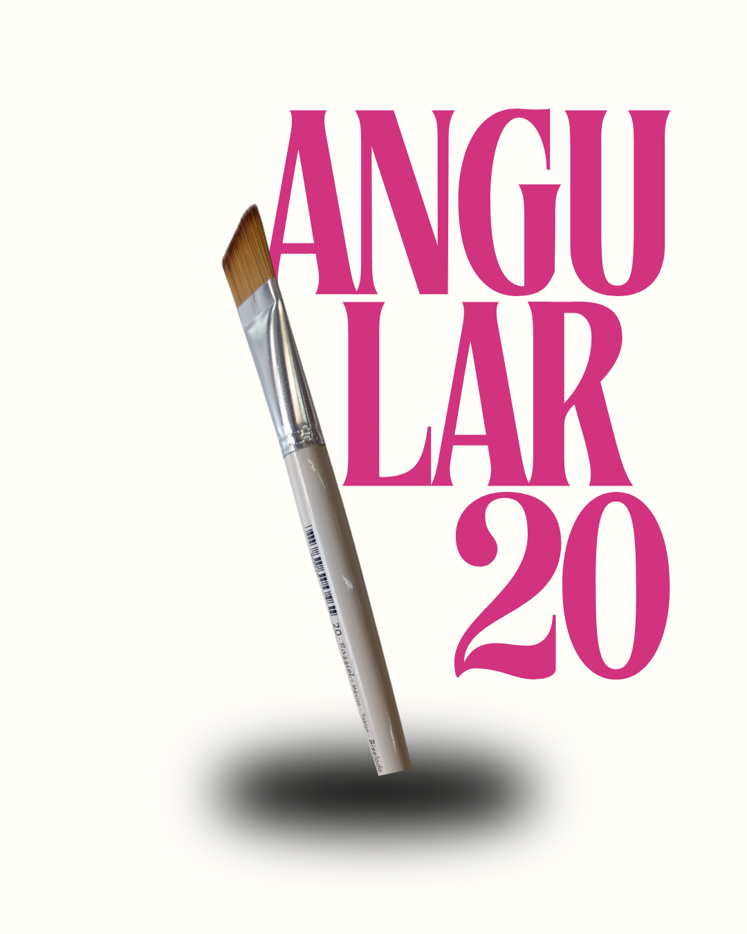 ANGULAR 20