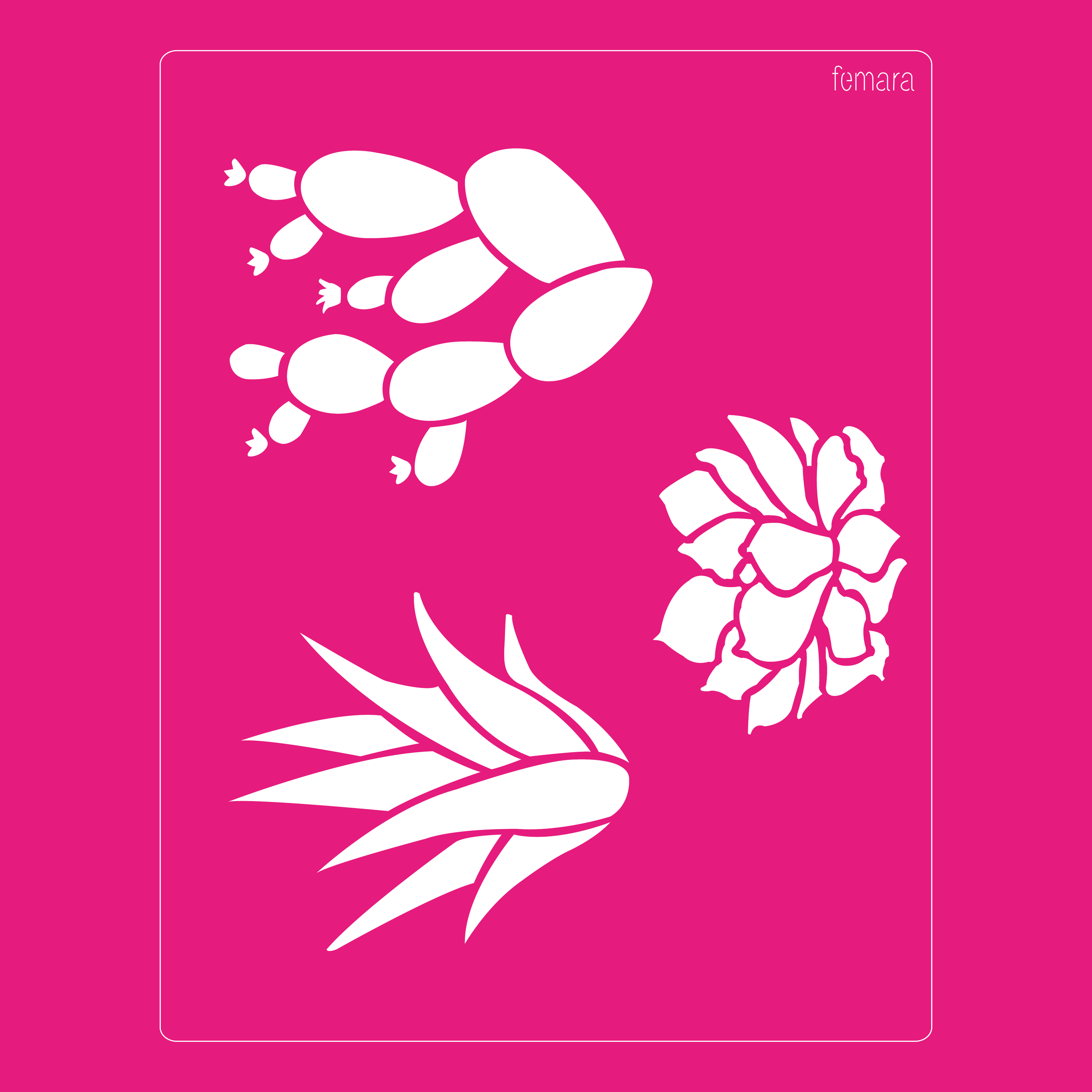 2025-044 SUCULENTAS 3