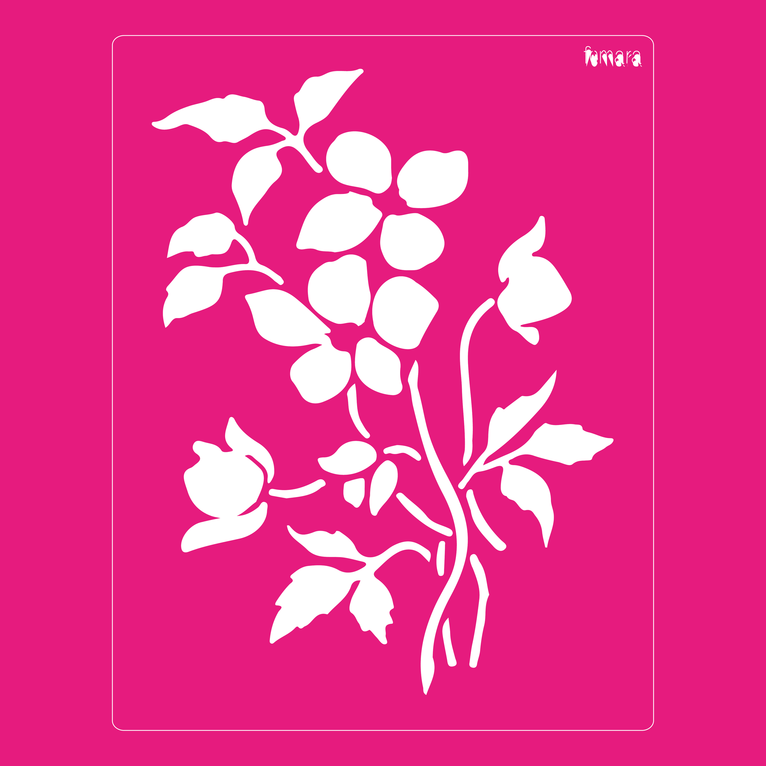 2025-032 FLOR DE CAMPO