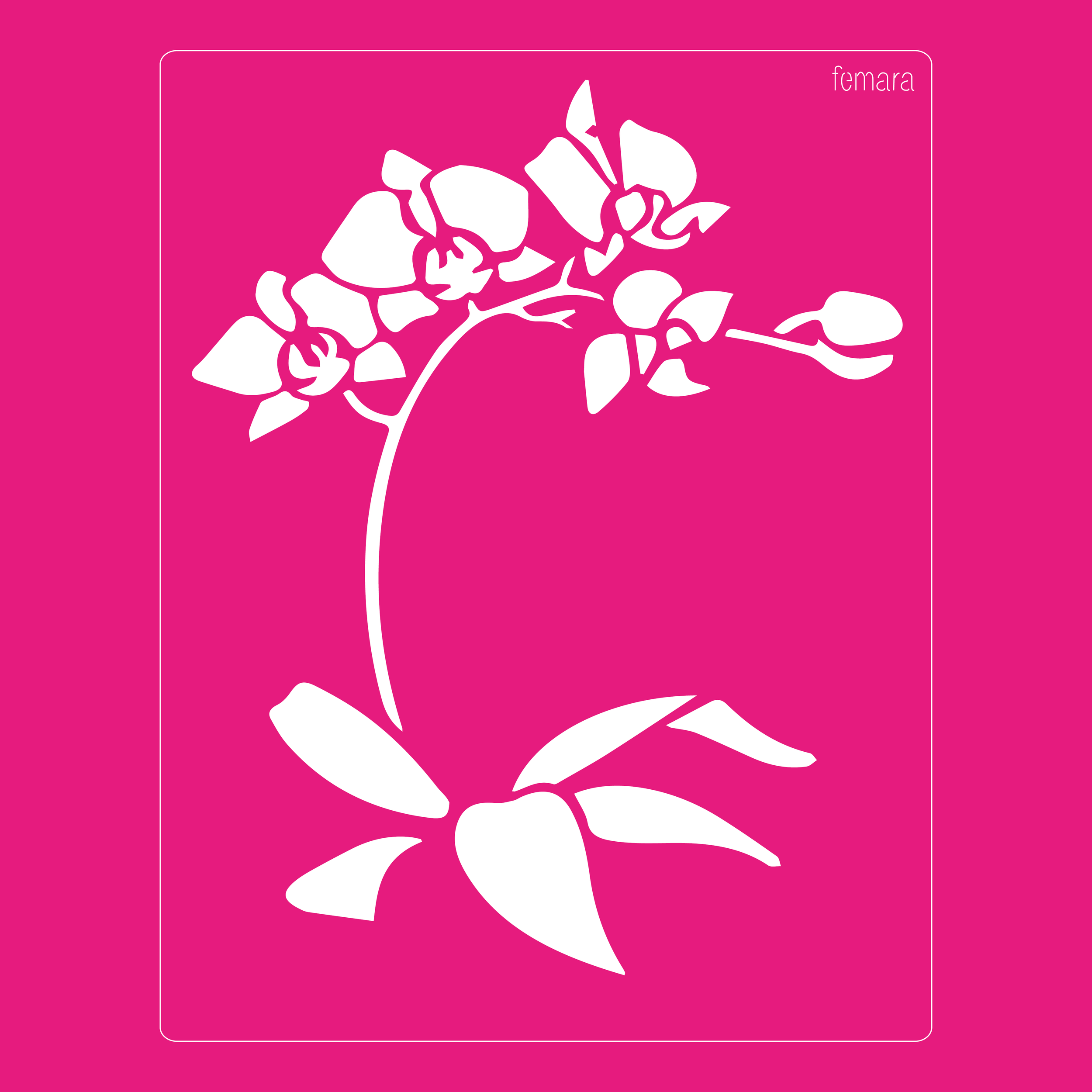 2025-034 ORQUIDEA 1