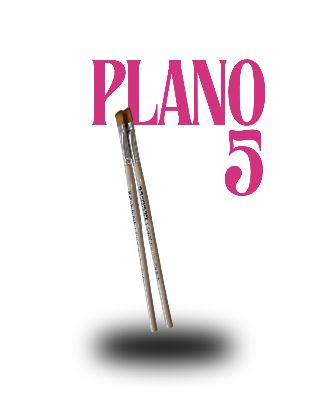 PLANO No 5
