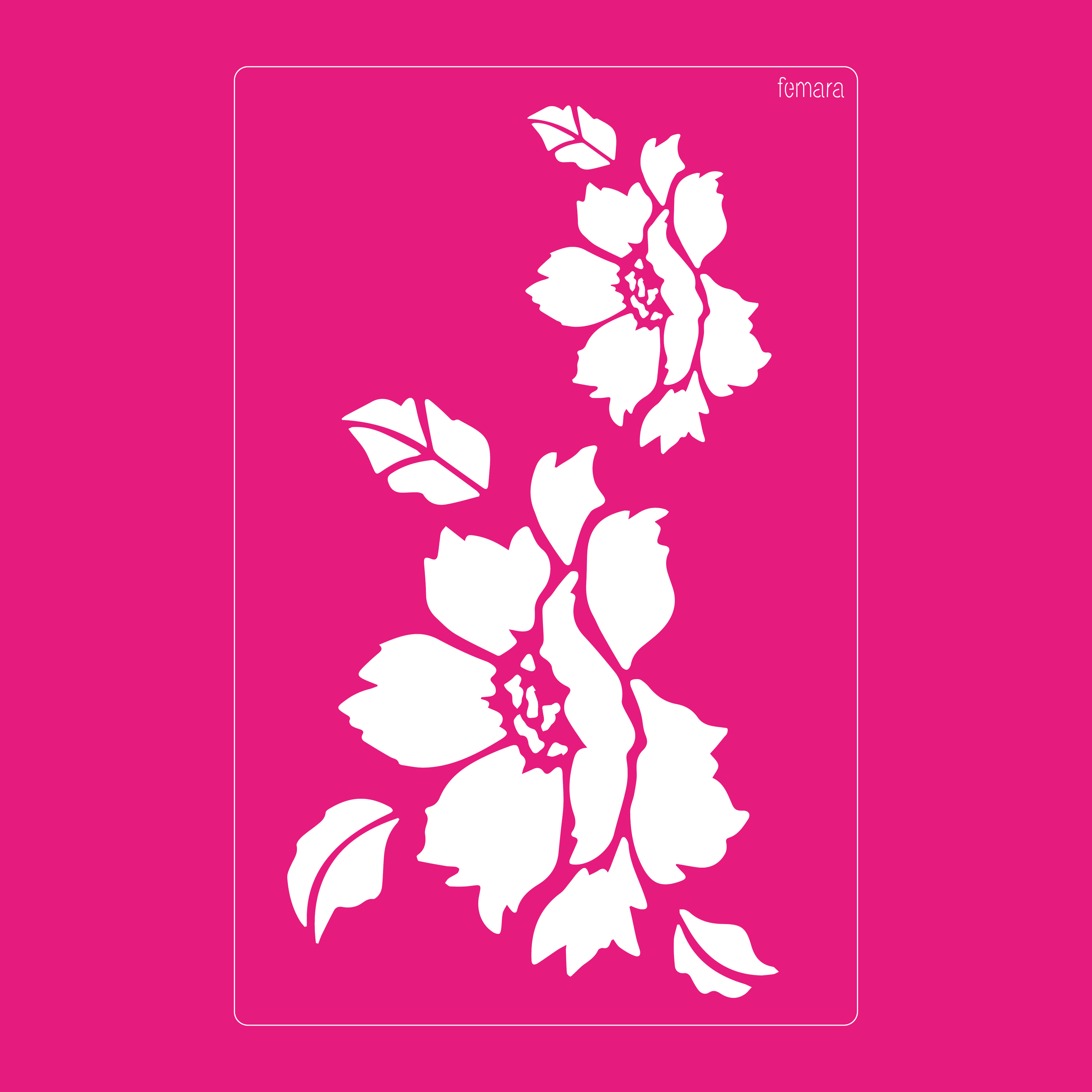 2030-046 HIBISCOS