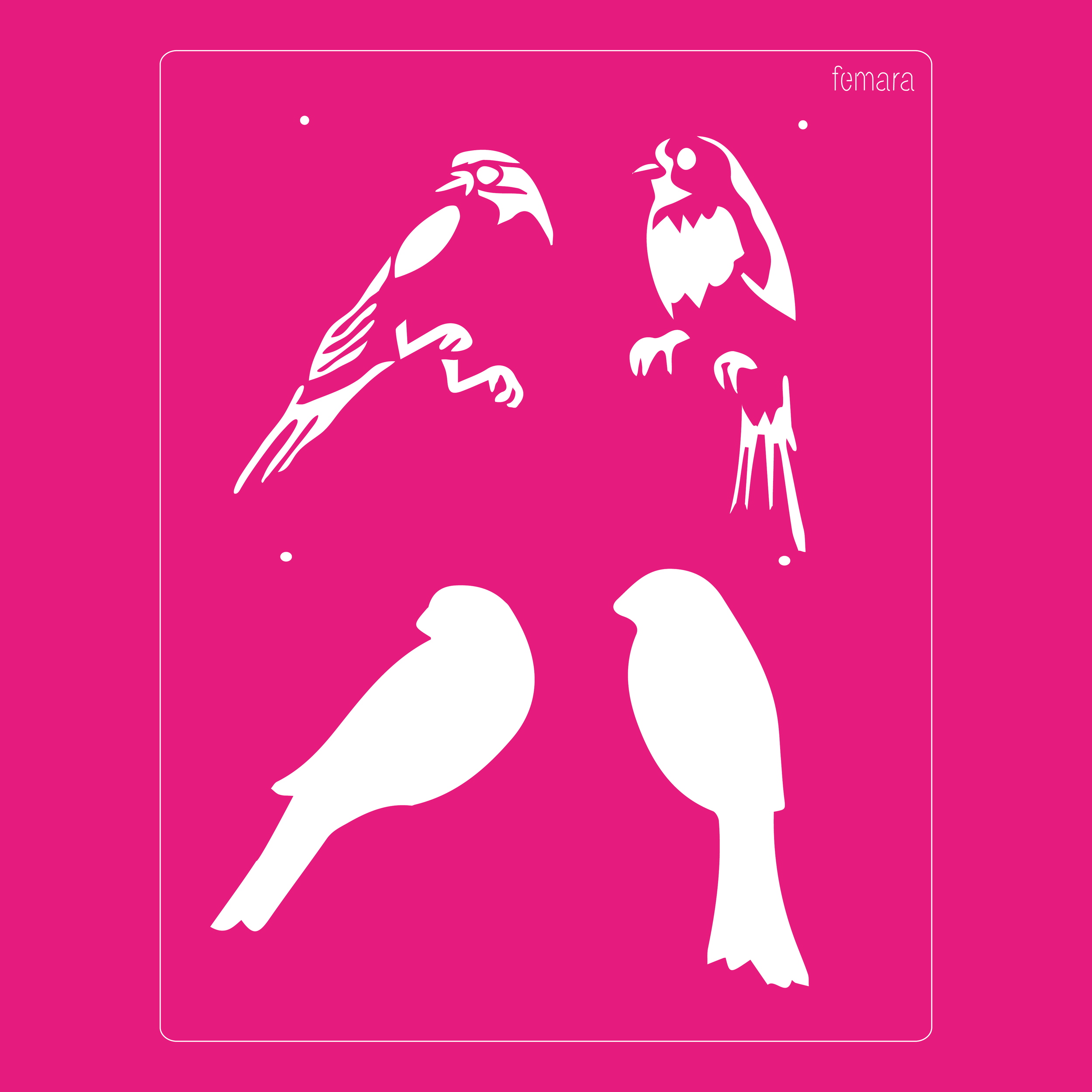 2025-009 PAJAROS