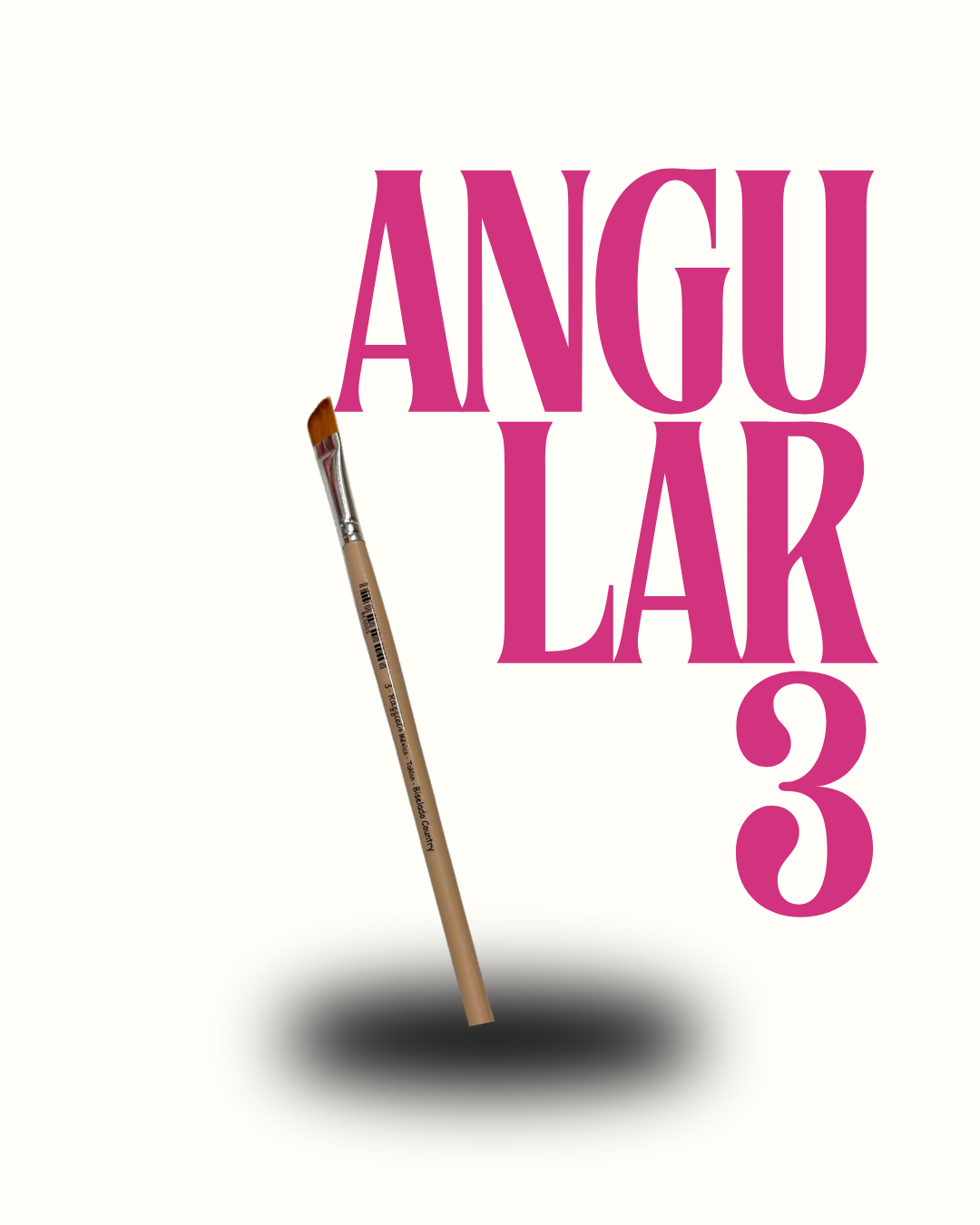 ANGULAR 3