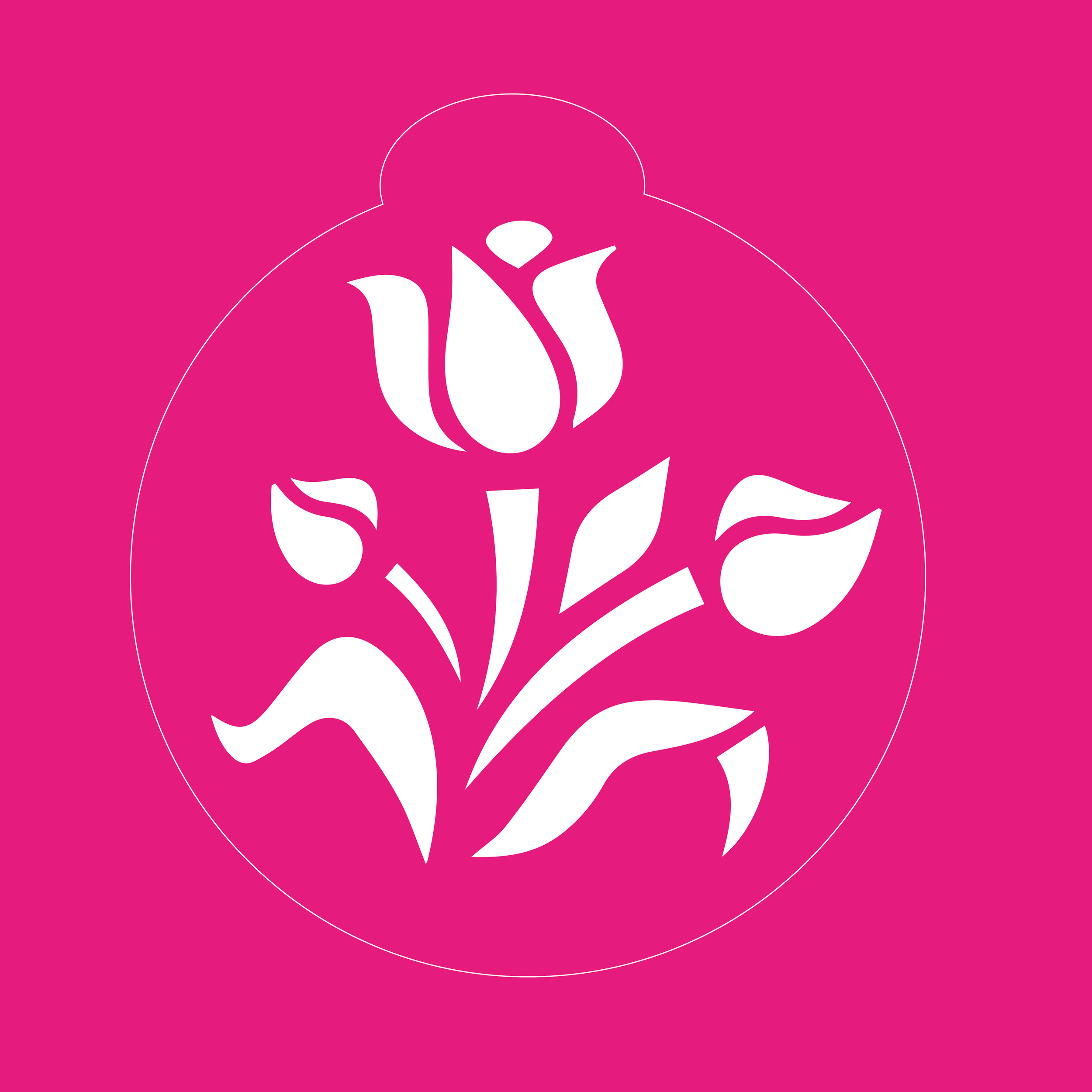R-006 TULIPANES