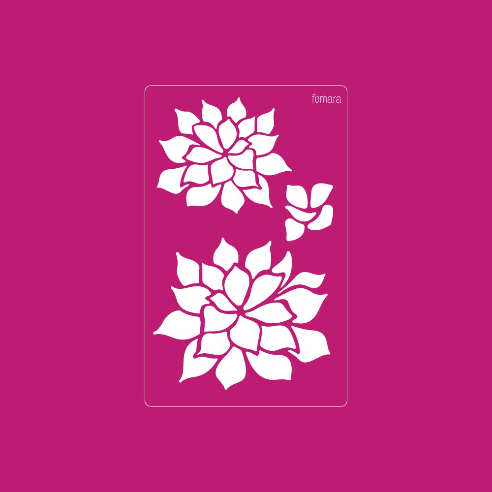 1523-116 SUCULENTAS