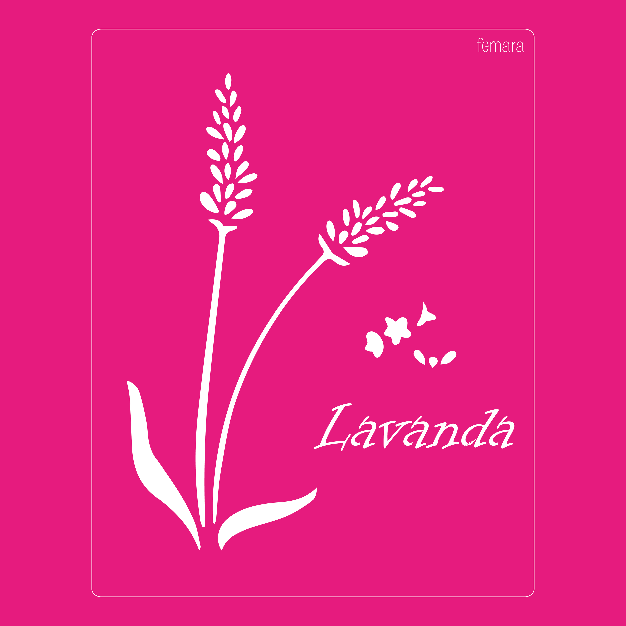 2025-042 LAVANDAS 1