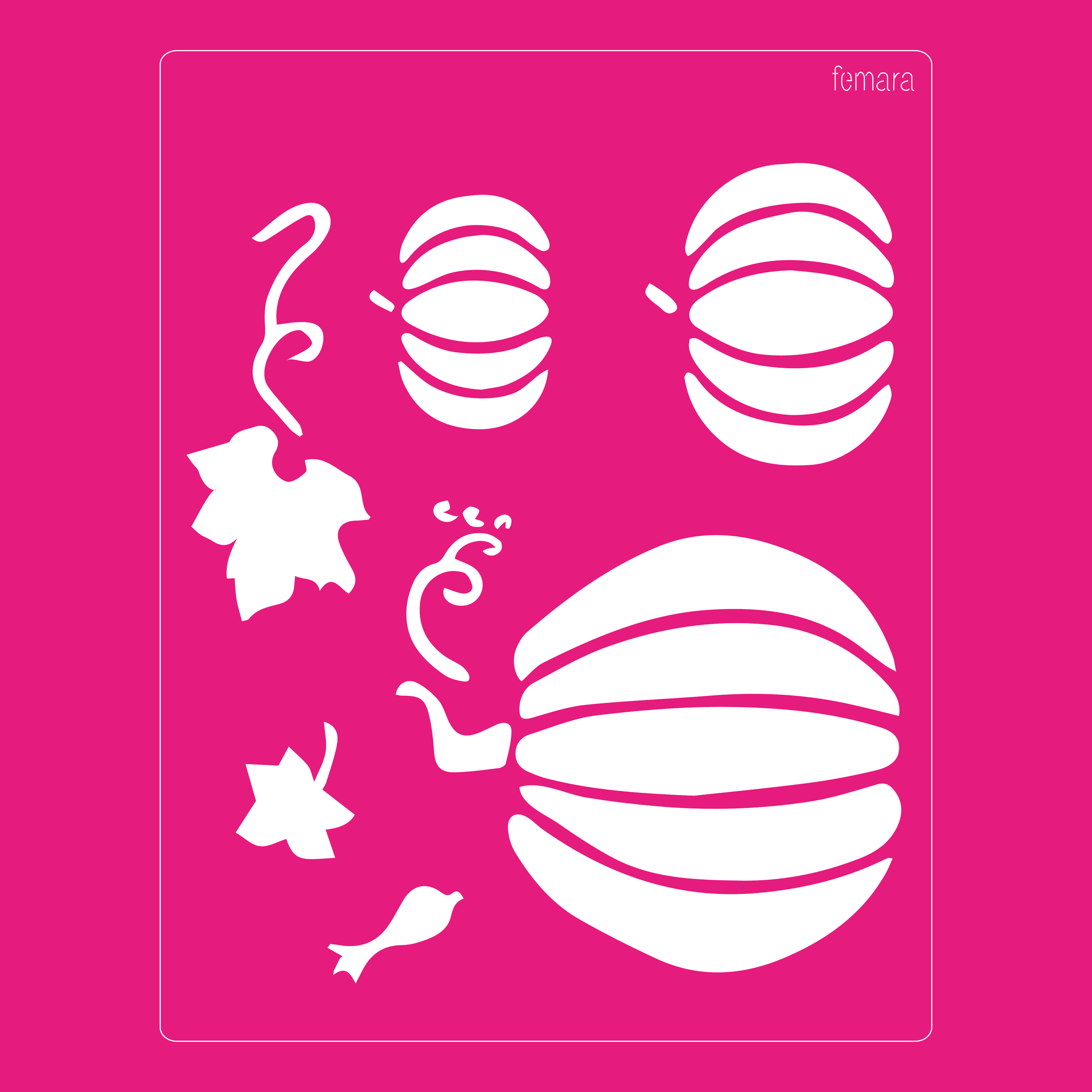 2025-107 CALABAZAS 1