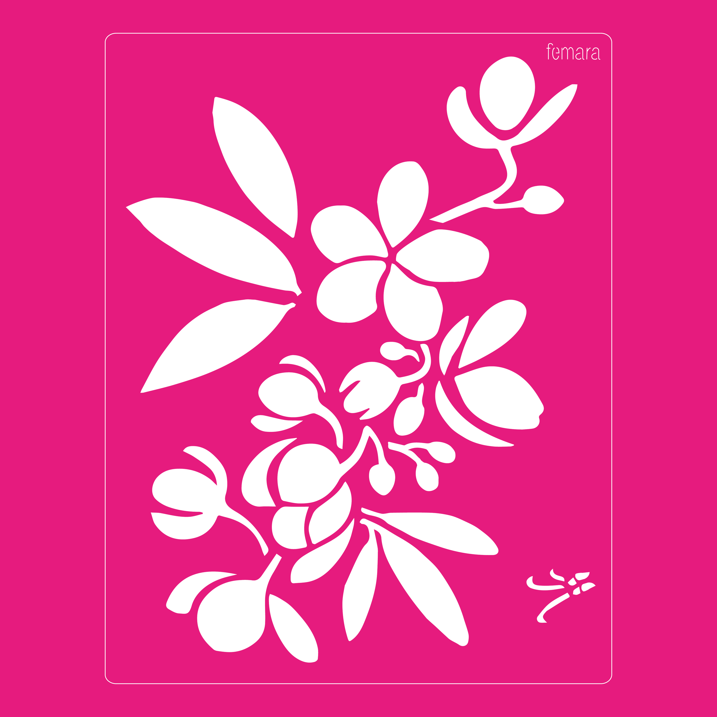 2025-029 CASIRUBA FLOR