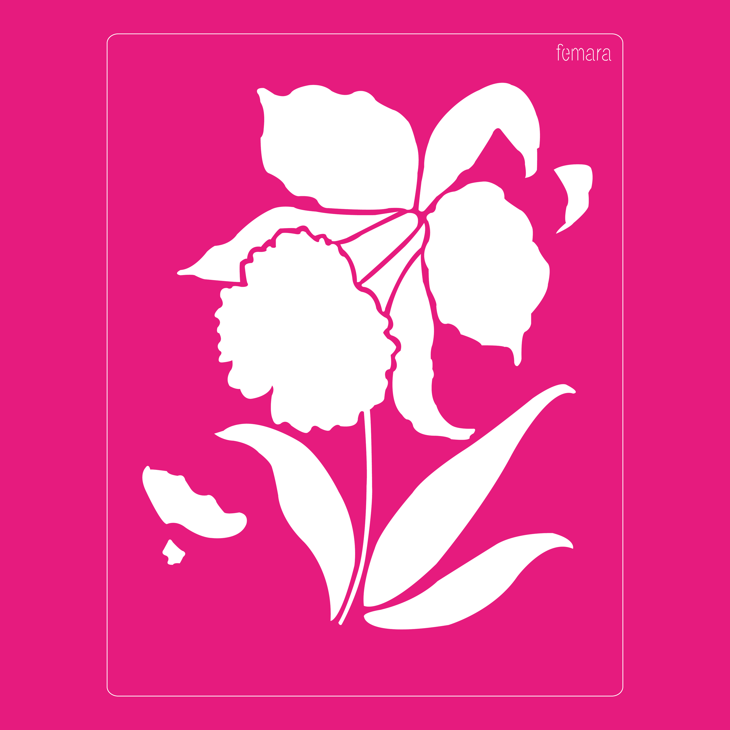 2025-033 NARCISO