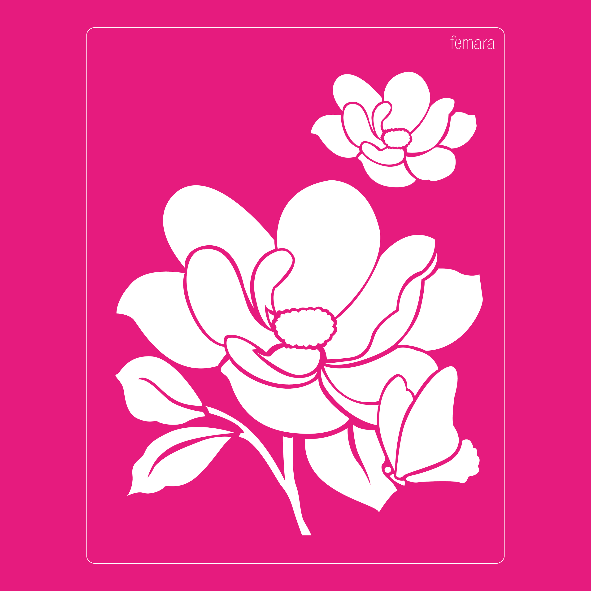 2025-116 AMAPOLA