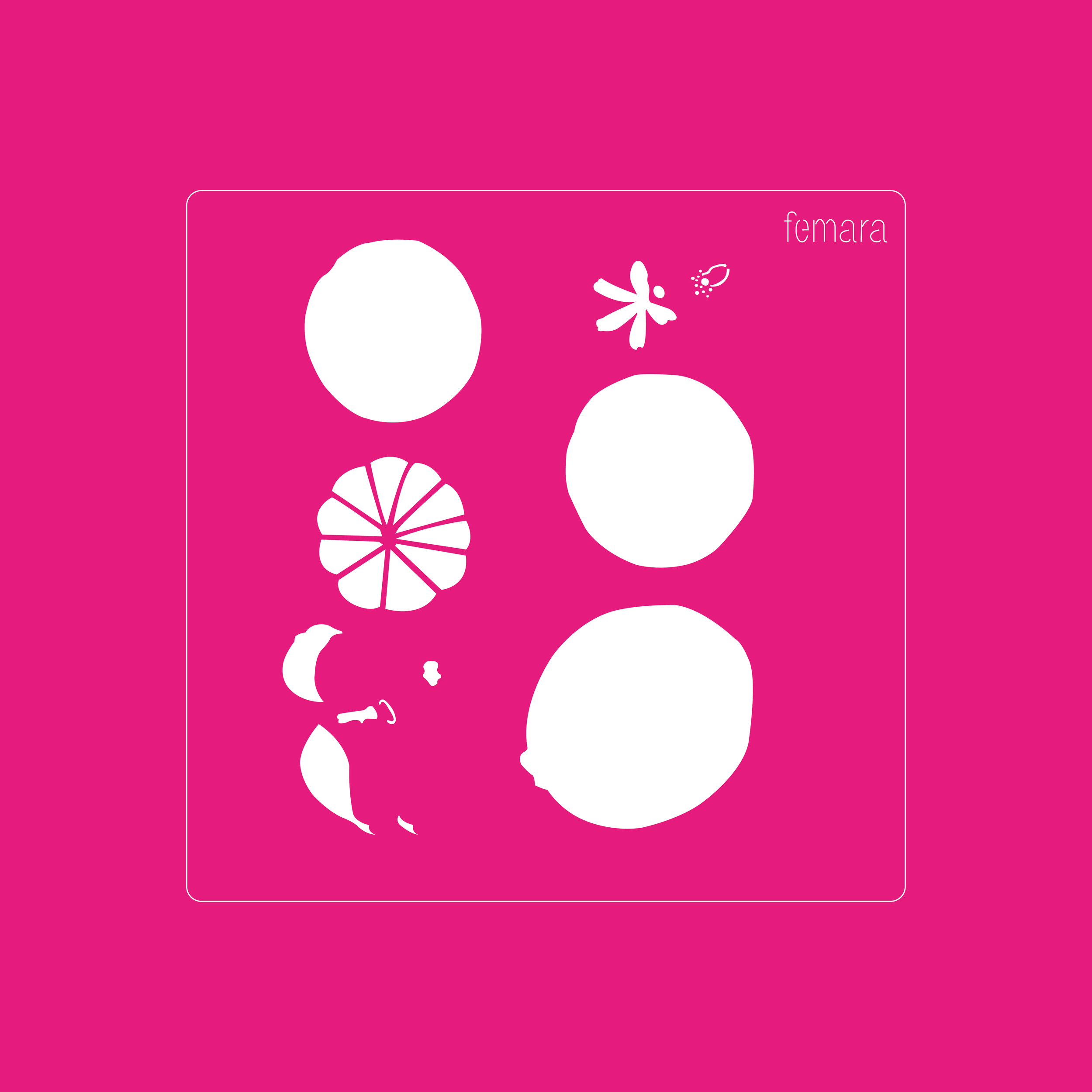 1515-226 LIMON