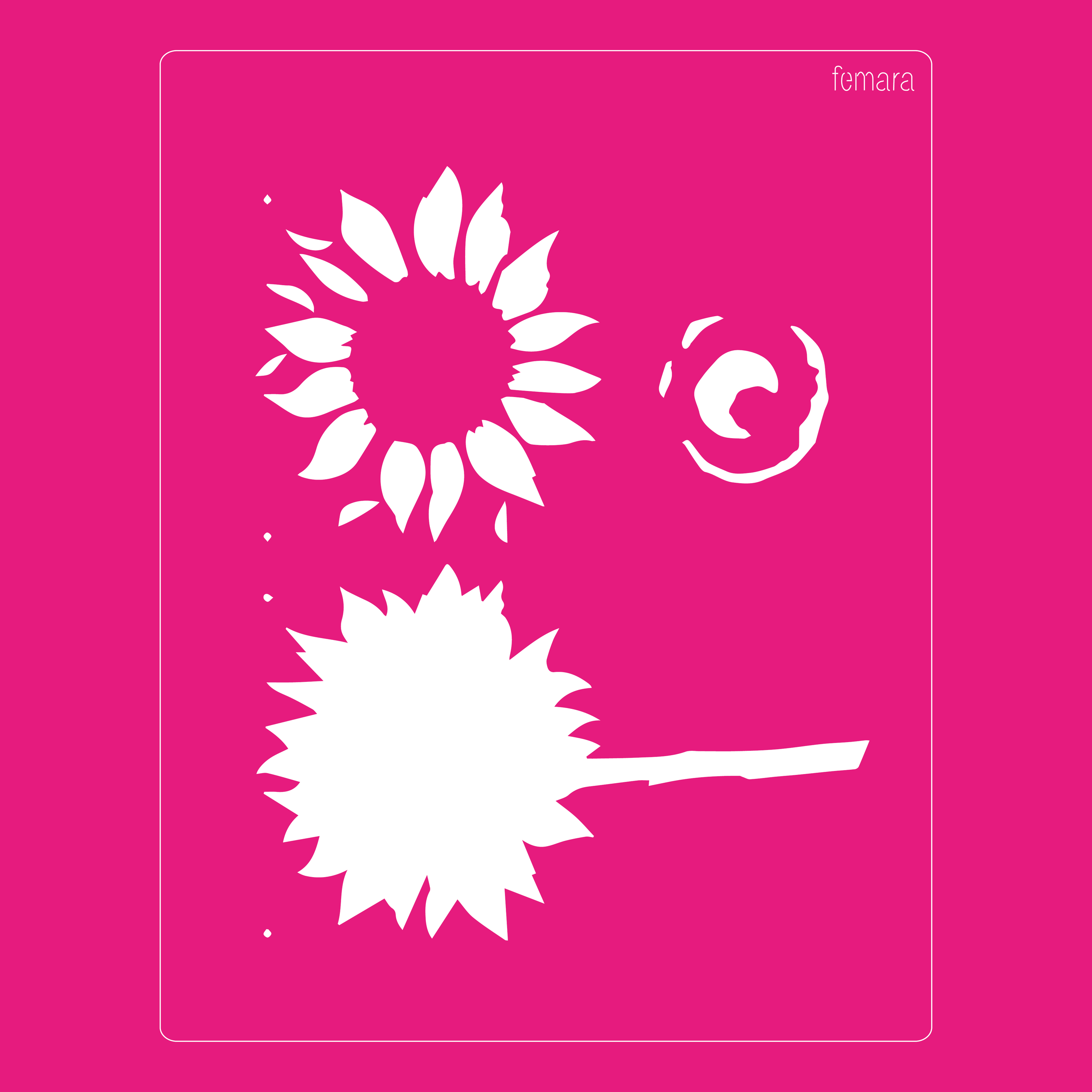 2025-040 GIRASOL 2