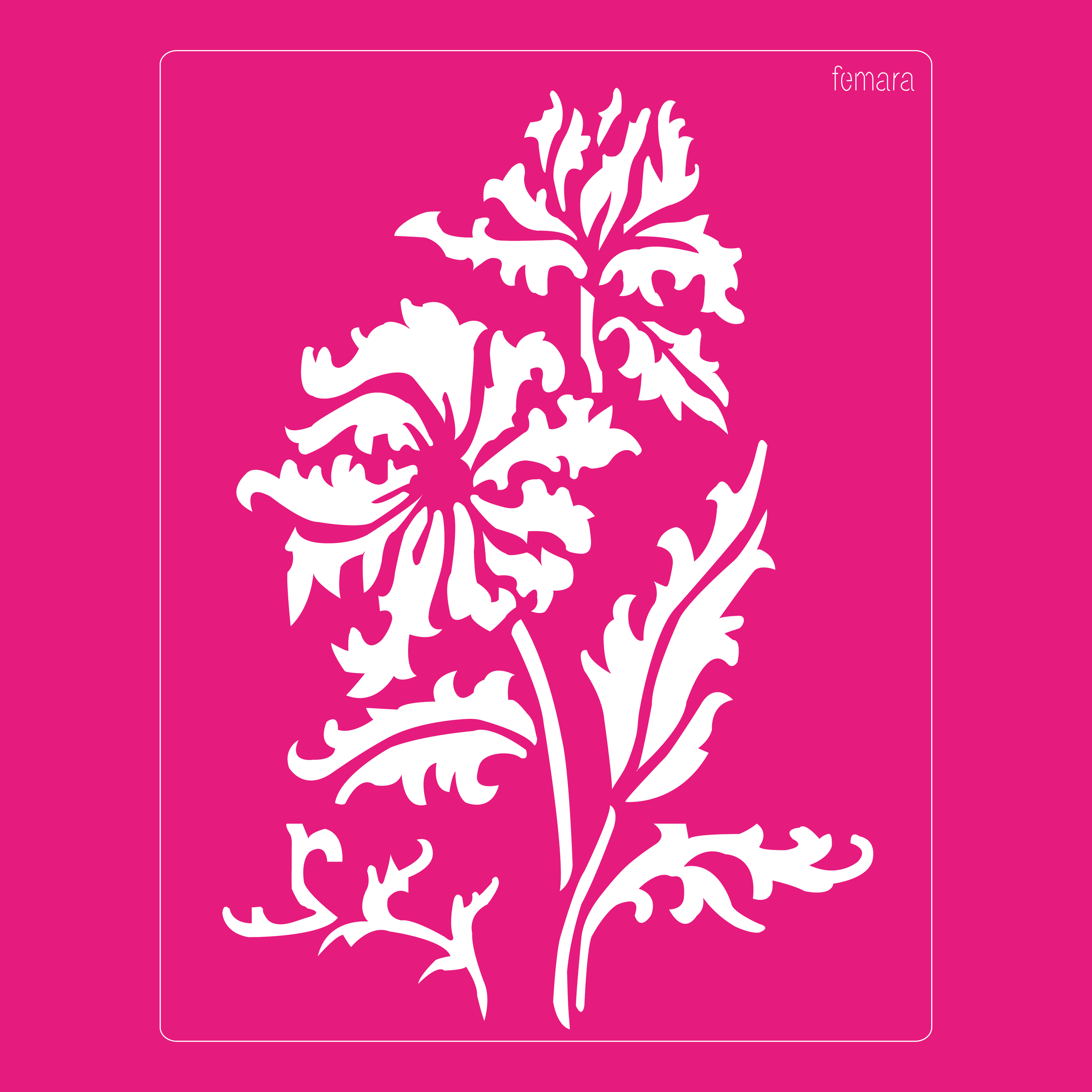 2025-038 CEMPASUCHITL