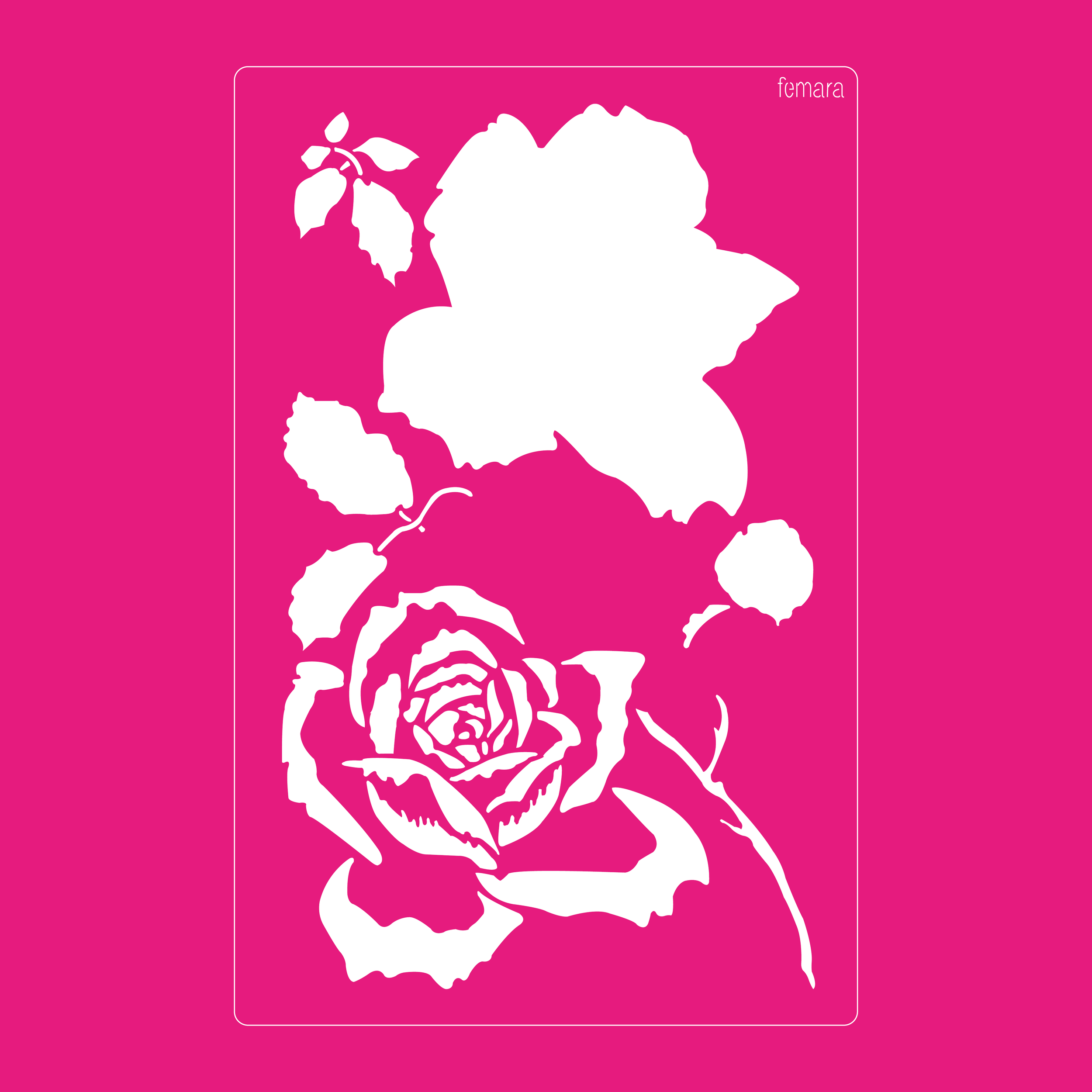 2030-054 ROSA DOBLE