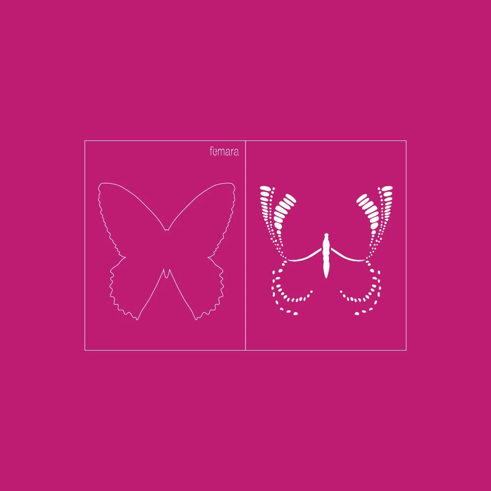 1223-038 MARIPOSA MONARCA (DOS PASOS)