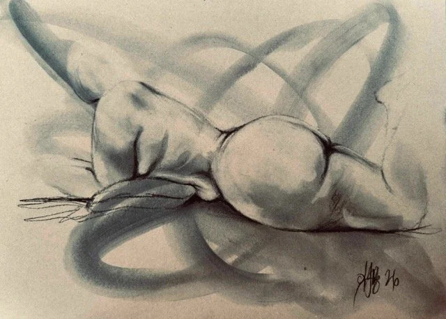 Lying on Front Study No. 1