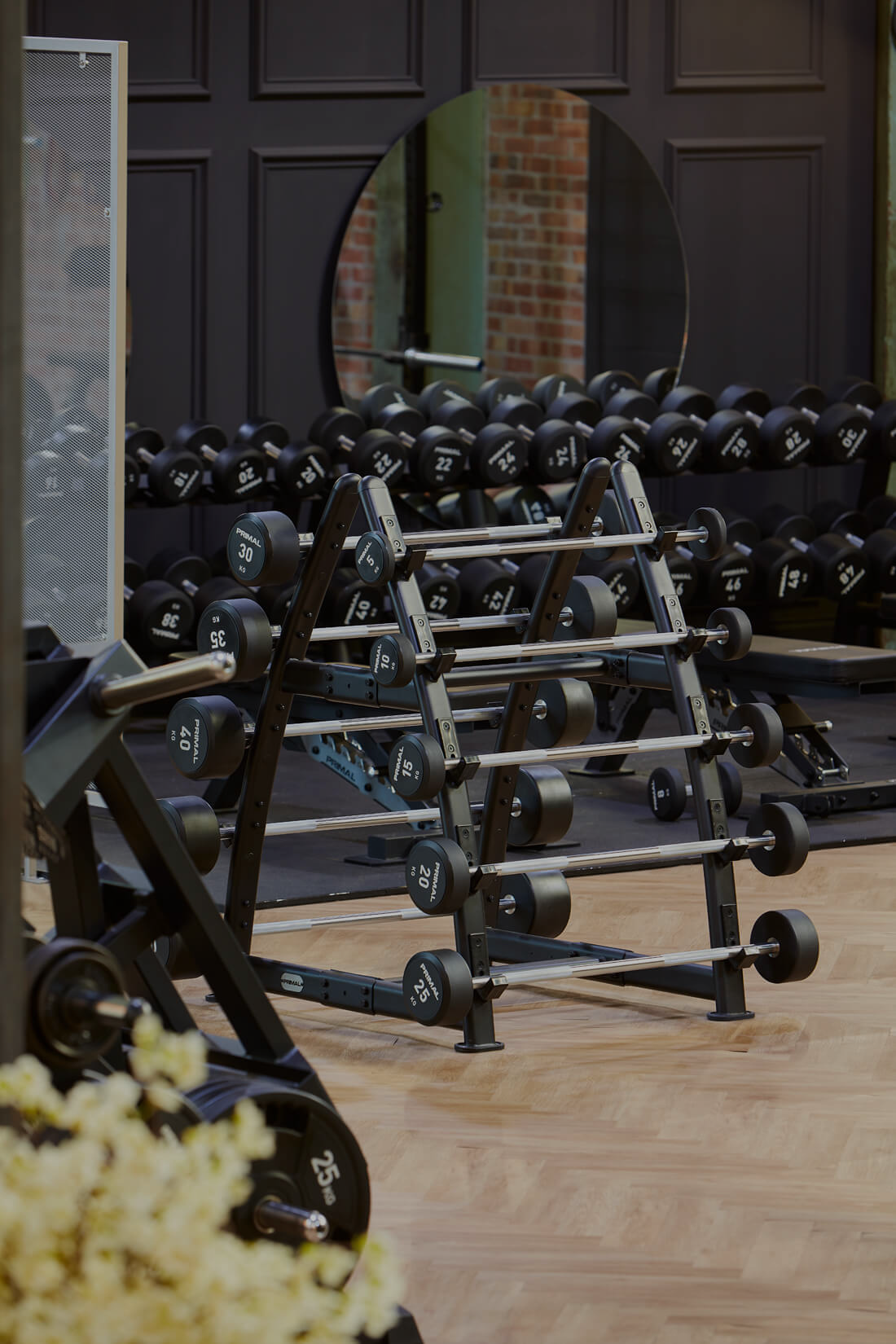 Gym with dumbbells on racks, a mirror reflecting part of the workout area, and a weight plate visible in the foreground.