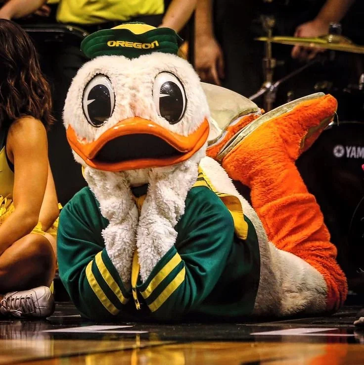 A person in a duck mascot costume, wearing a green Oregon sports jacket and cap, lying on the floor with their head resting in their hands at a sports event.