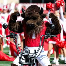 A person wearing a bison costume riding a motorcycle during a parade.