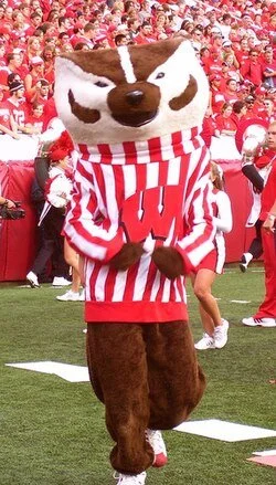 The University of Wisconsin-Madison mascot, Bucky Badger, walking on a football field during a game, with fans and cheerleaders in the background.