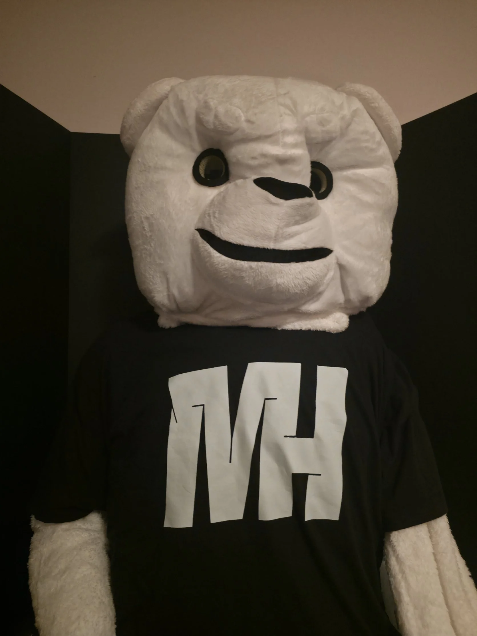 A person wearing a large plush bear mascot costume with a white face, black eyes, and a big black nose, dressed in a black T-shirt with white letters, standing against a black background.