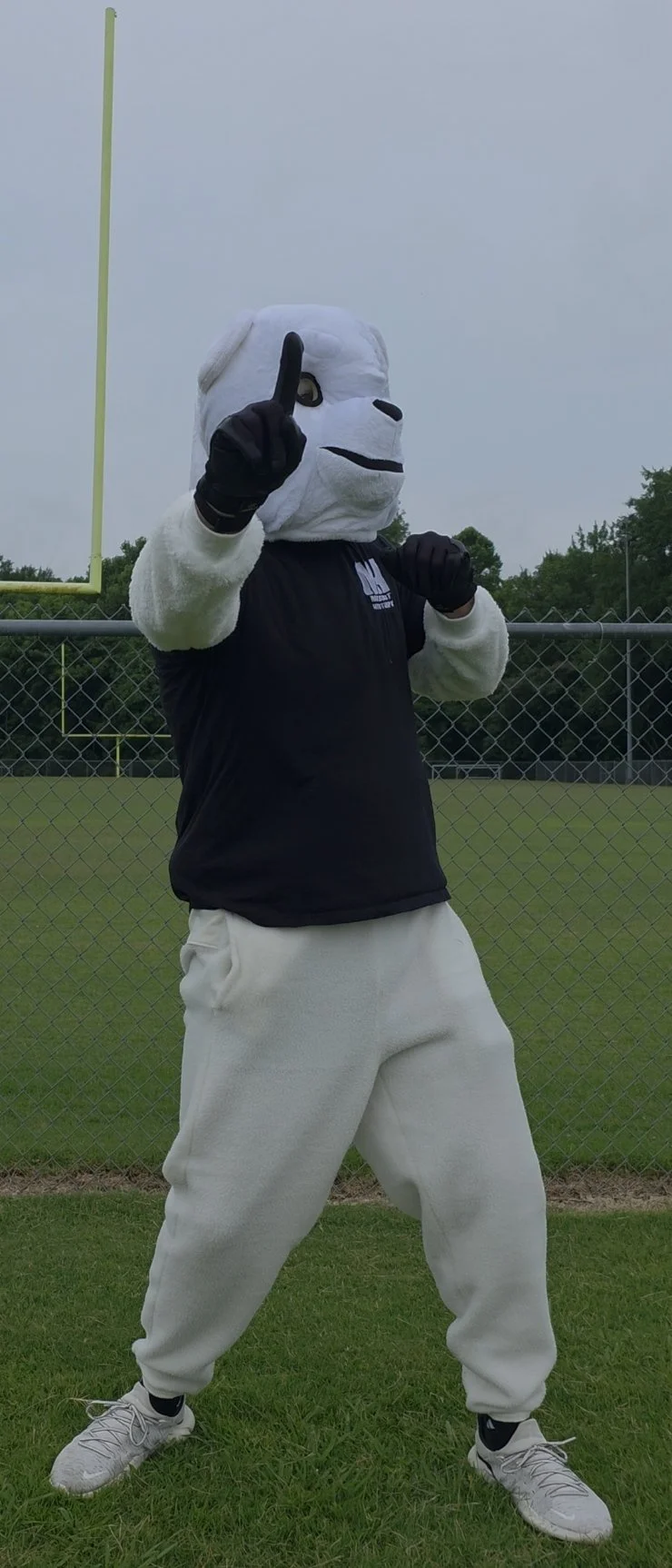 Person in a bear mascot costume standing on a football field, making a gesture with the middle finger.