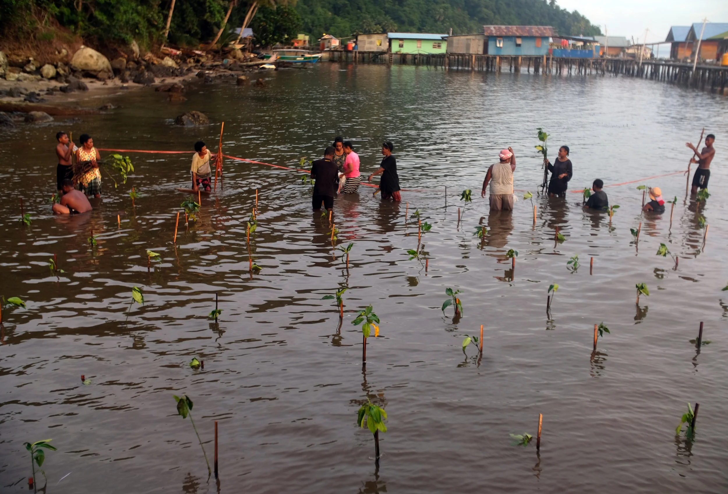 People standing in water near small plants with a stilted village and boats in the background.