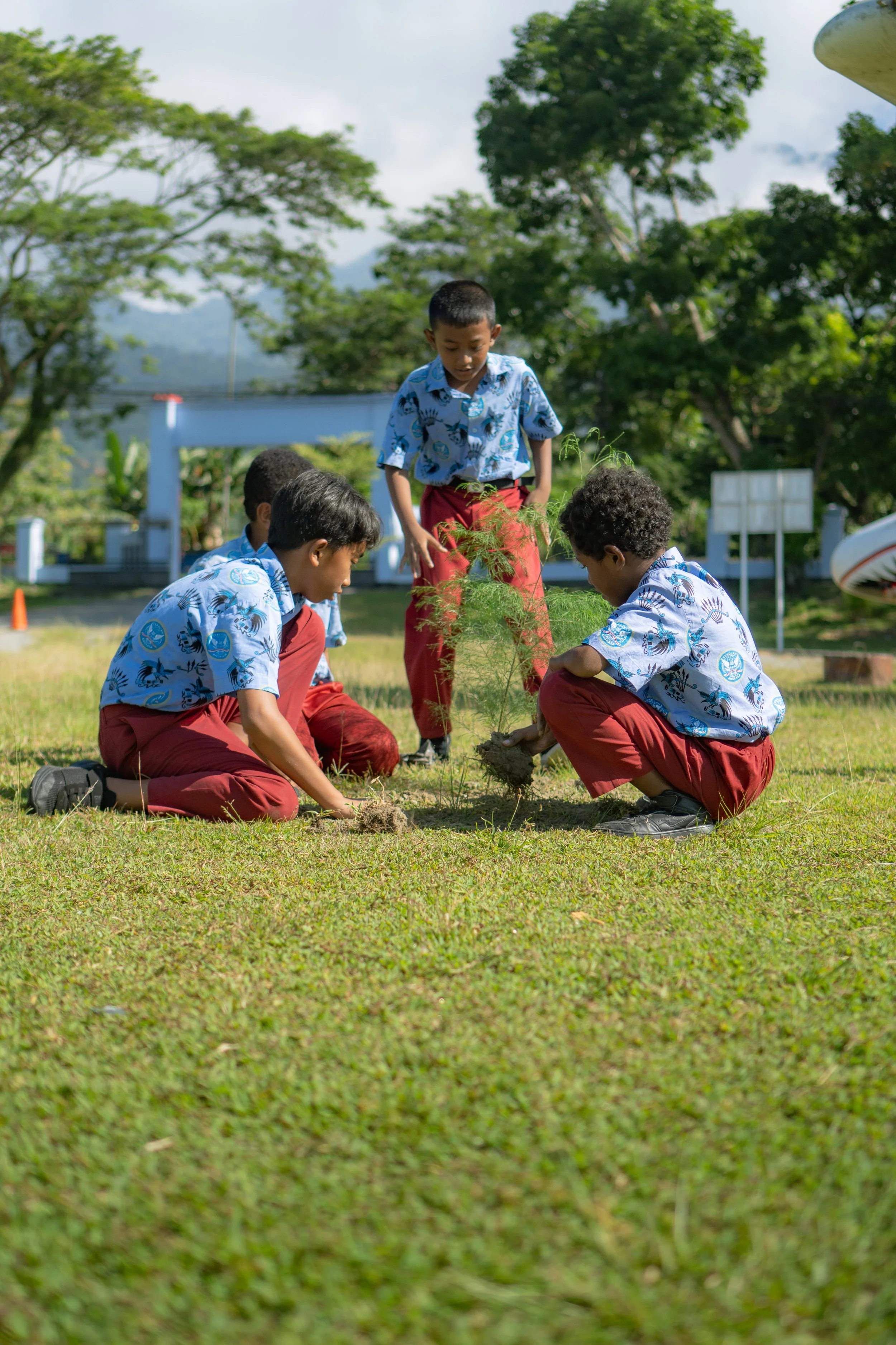 Four boys wearing blue patterned shirts and red pants planting a small tree outside on a grassy field with trees and a fence in the background.