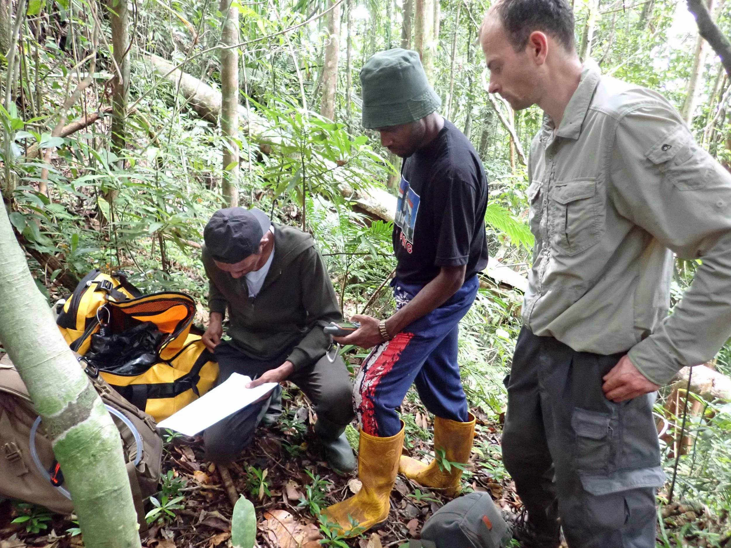 Four men studying documents and equipment in a dense jungle forest. One is dressed in dark clothing and a bucket hat, another is in a light-colored shirt with rolled-up sleeves, and two are wearing dark jackets. They are surrounded by trees and green foliage, and appear to be involved in research or exploration.