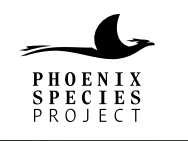 Phoenix Species Project logo with a stylized phoenix bird above the text.