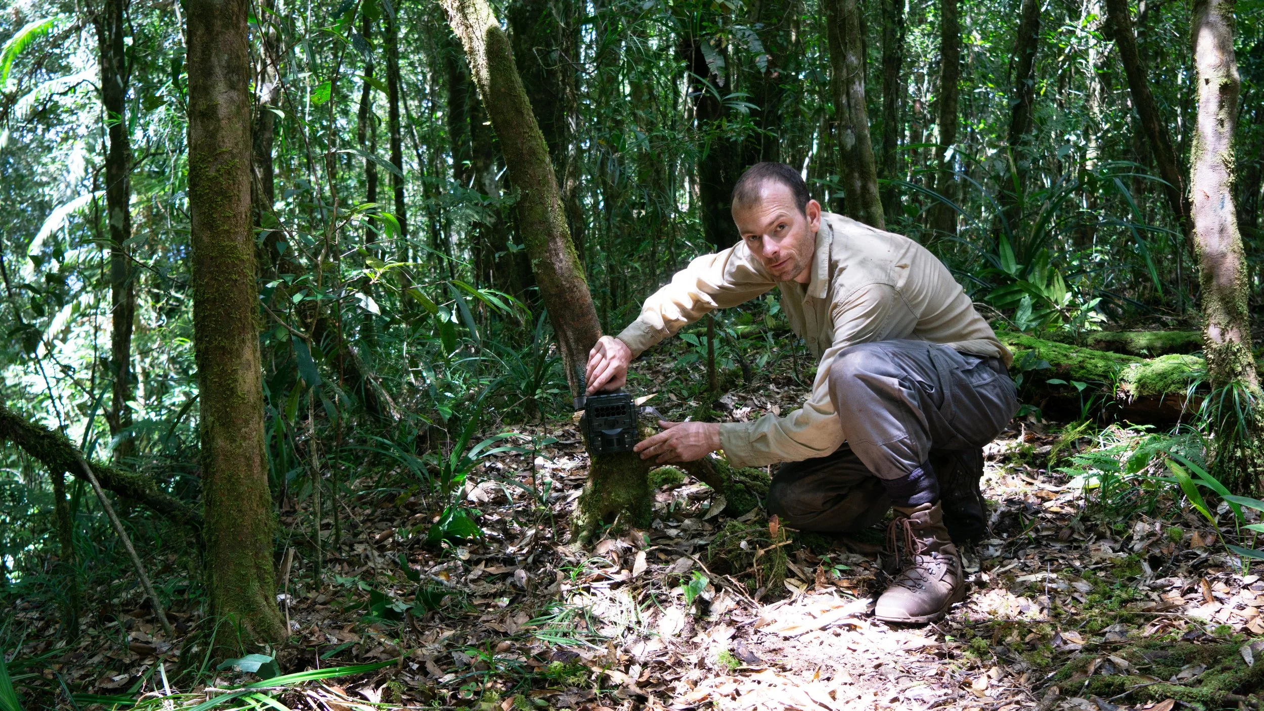 A man kneeling in a dense, green forest, handling a piece of equipment placed on the forest floor.