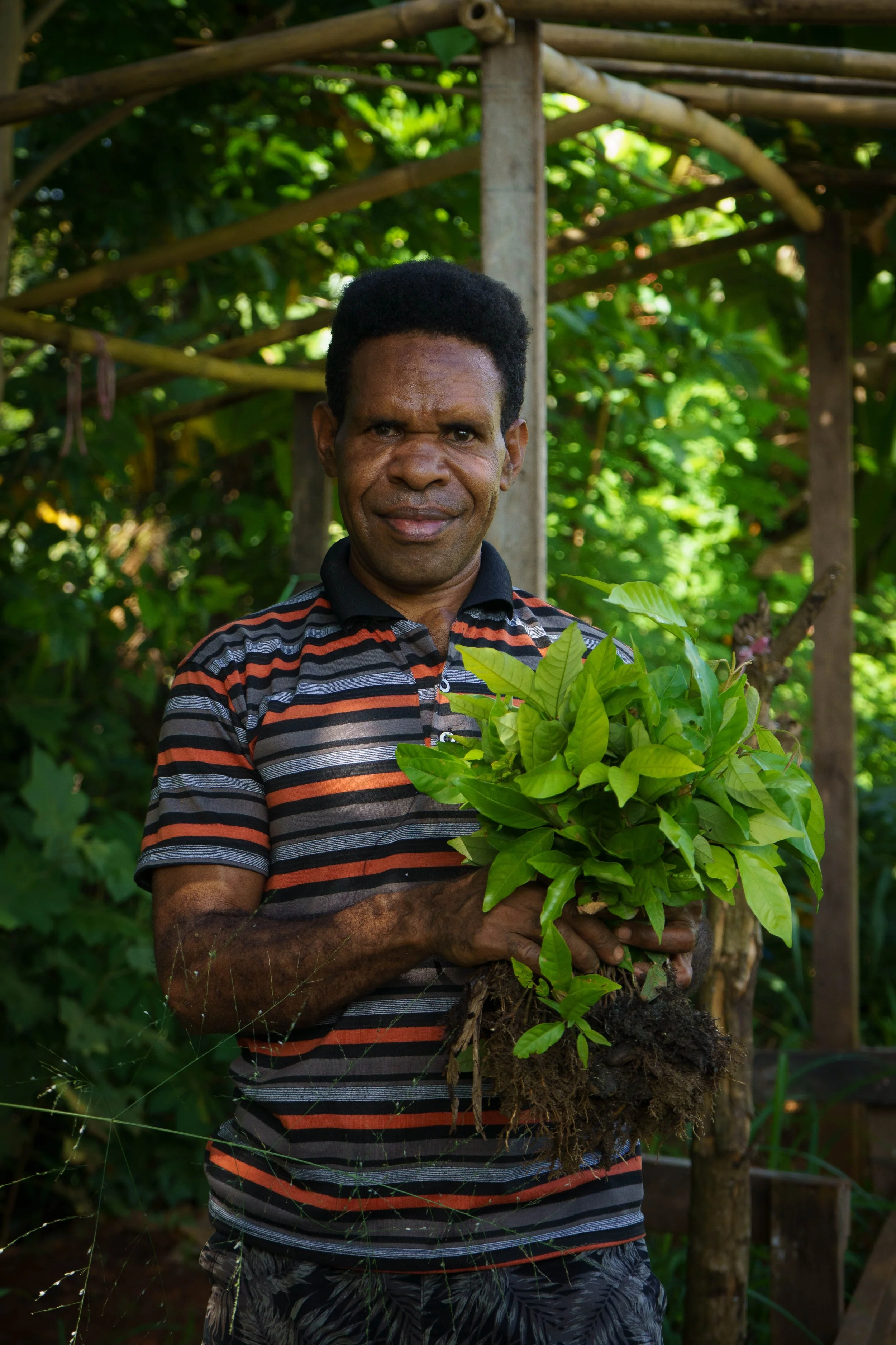 A man holding a potted plant with green leaves, standing outdoors with lush greenery in the background.
