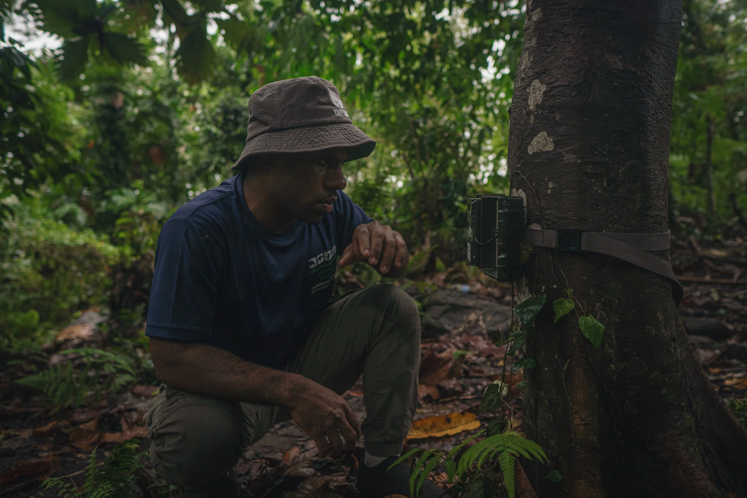 A man wearing a bucket hat and navy shirt crouches next to a tree with a camera strapped to it in a dense forest.